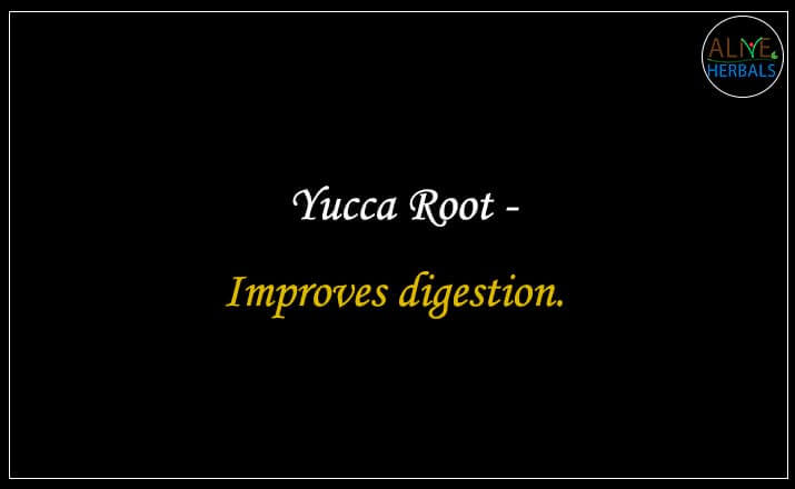 Yucca Root - Buy from the natural herb store