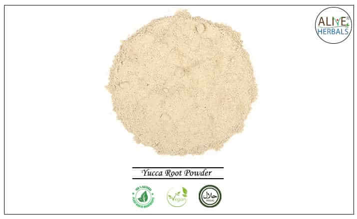 Yucca Root Powder - Buy from the health food store