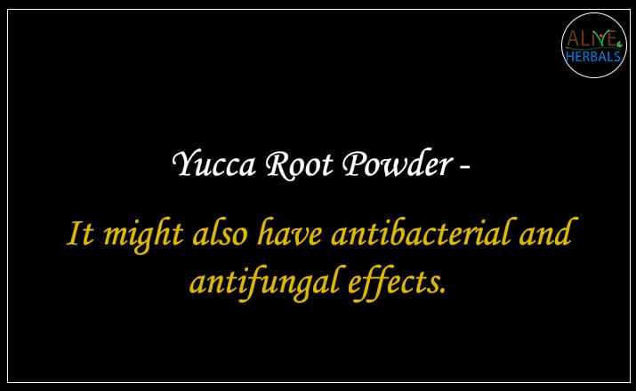 Yucca Root Powder - Buy from the natural health food store