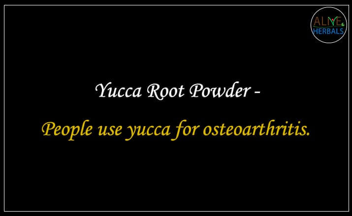 Yucca Root Powder - Buy from the natural herb store