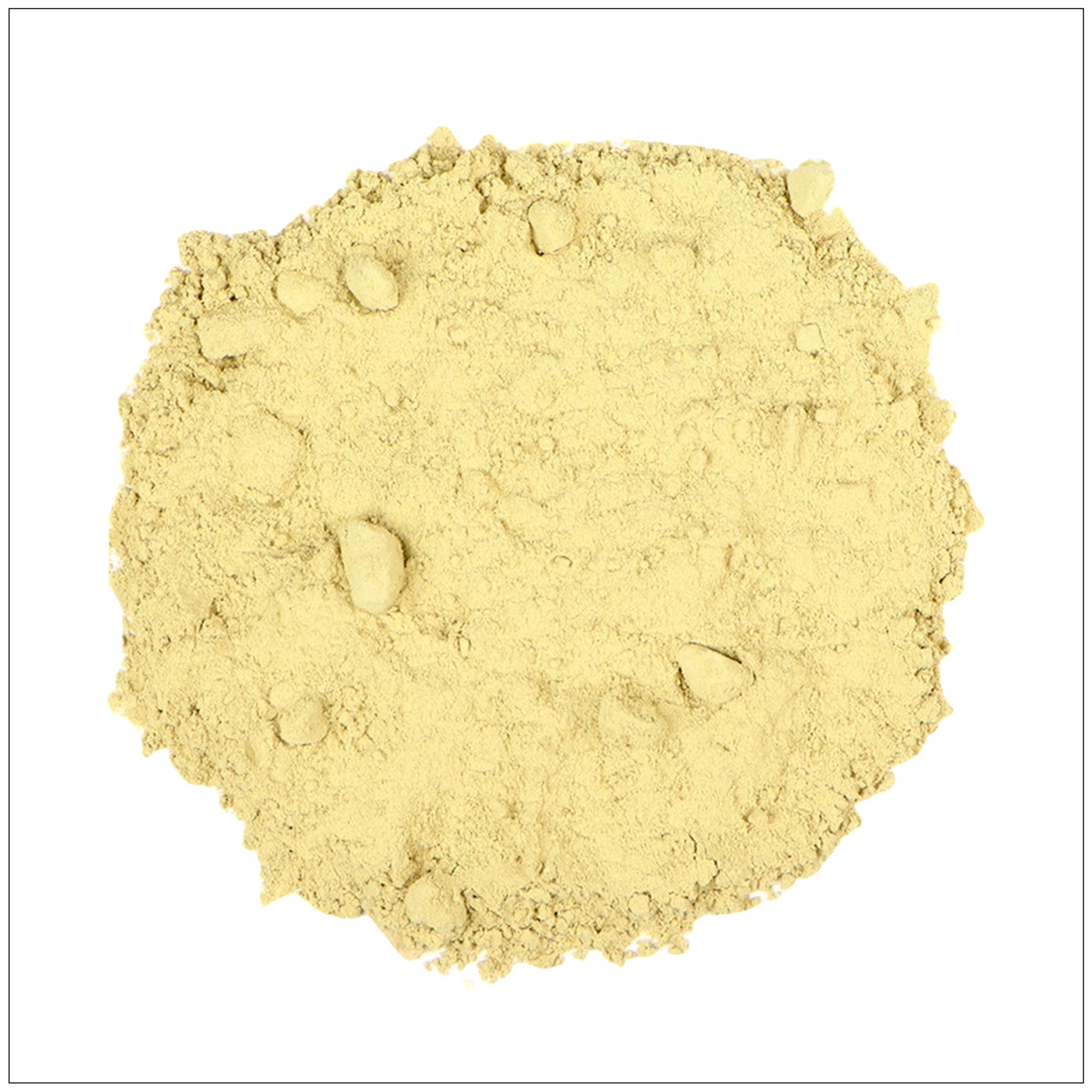 Aloe Vera Leaf Powder in resealable pouch—ideal for skin, hair, and wellness applications.