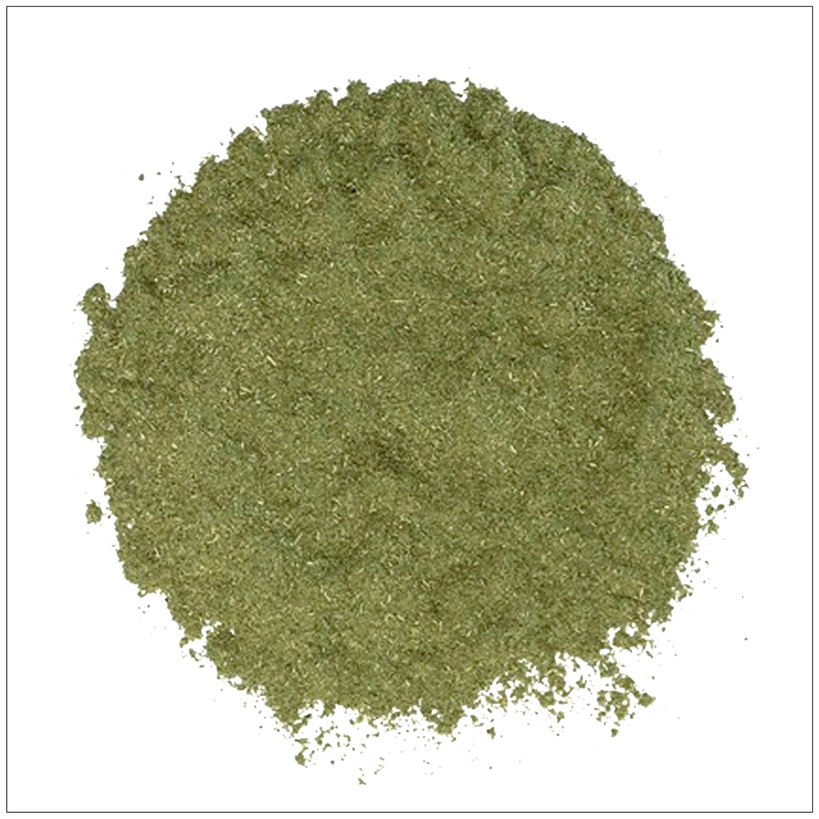 Fine green Andrographis powder in a bowl, known for immune support and herbal wellness benefits.