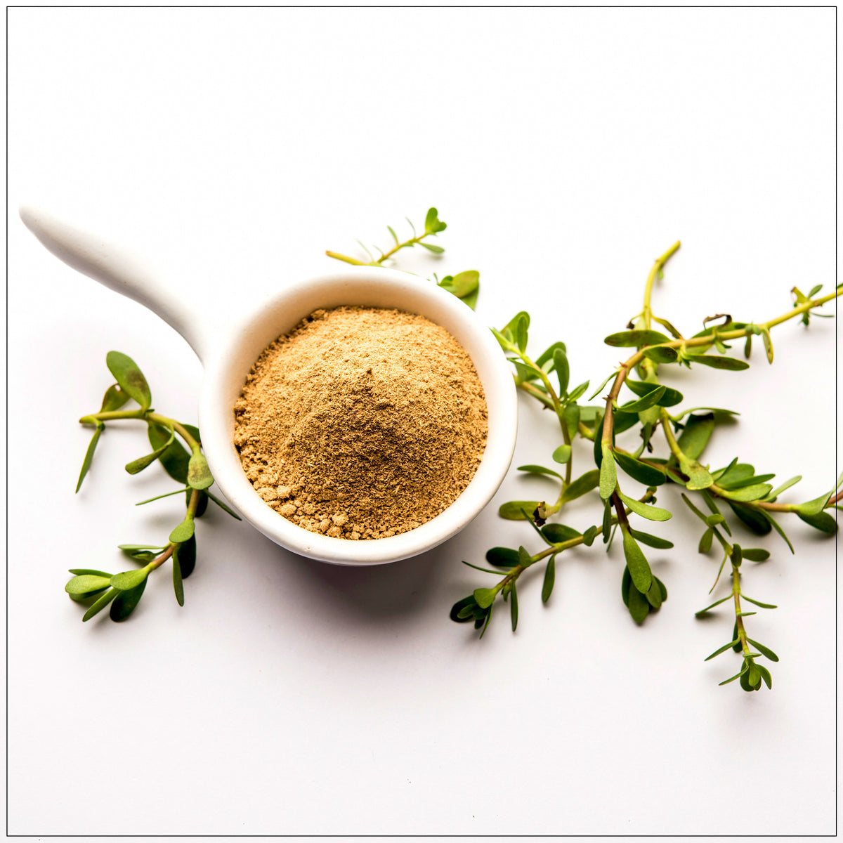 Bacopa Monnieri Powder – Natural Brain Support, Memory Booster, Herbal Supplement