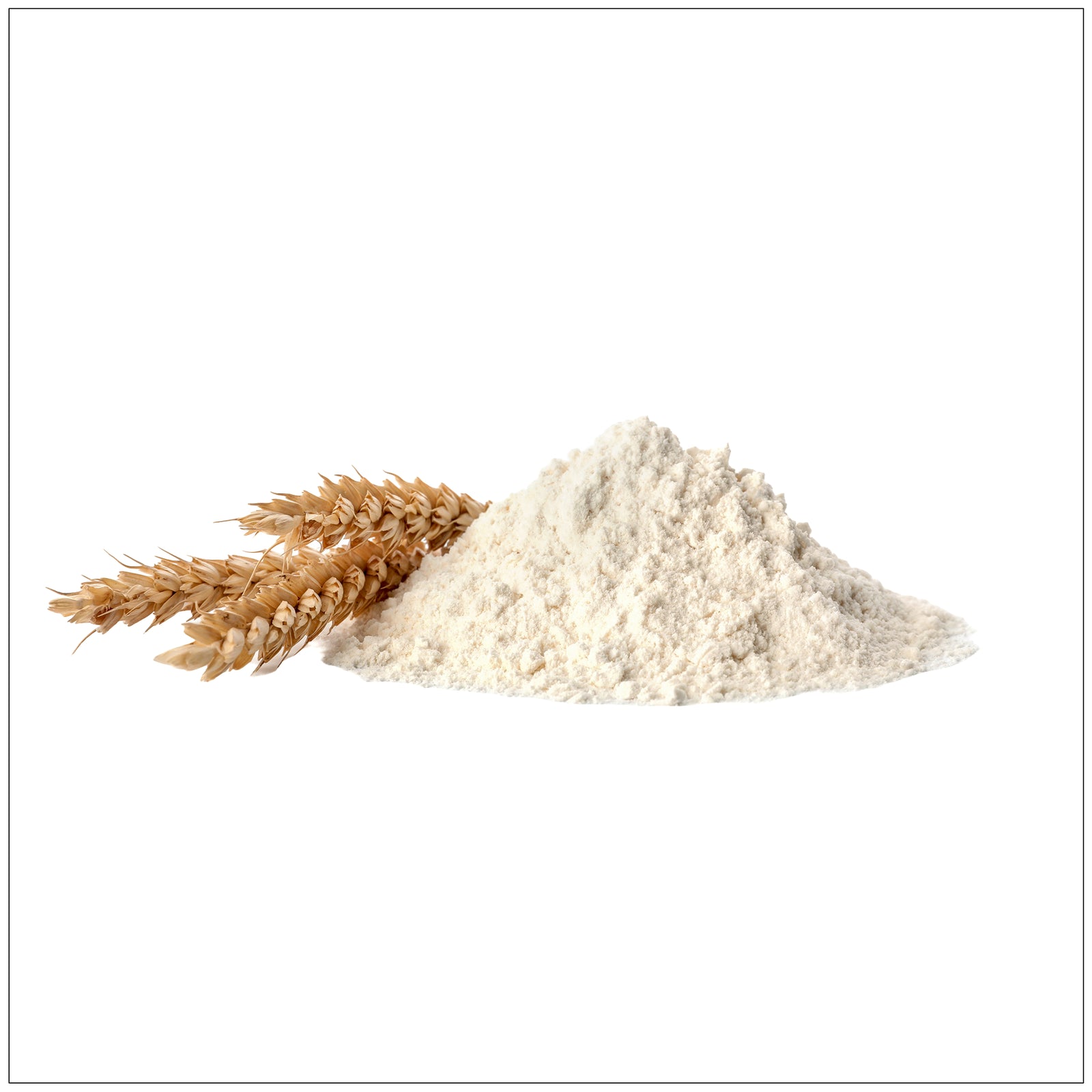 High-quality all-purpose baking flour for cookies, cakes, and breads – perfect for home and professional baking.