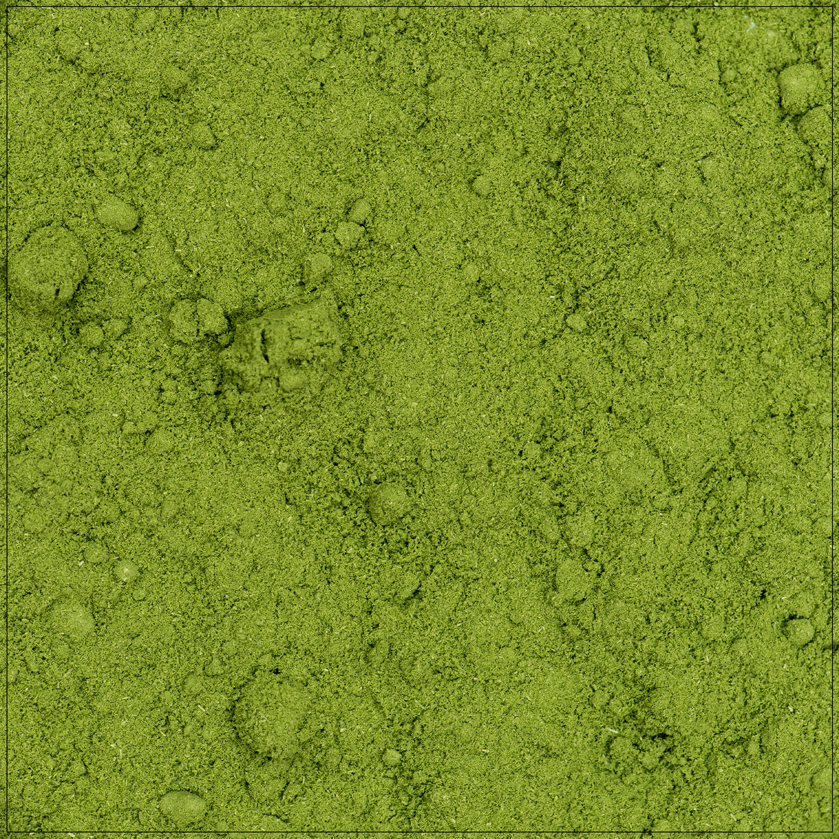 Barley grass powder in a wooden bowl with a spoon, rich in nutrients and ideal for smoothies.