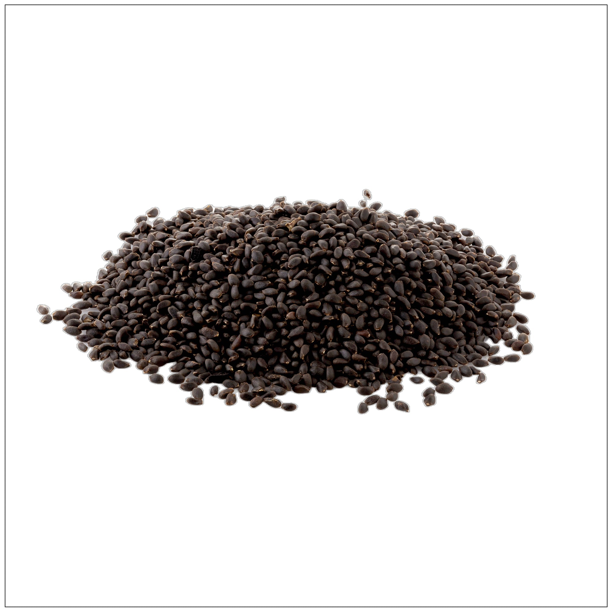 Basil seeds in a wooden bowl with spoon—nutrient-rich superfood for smoothies and drinks