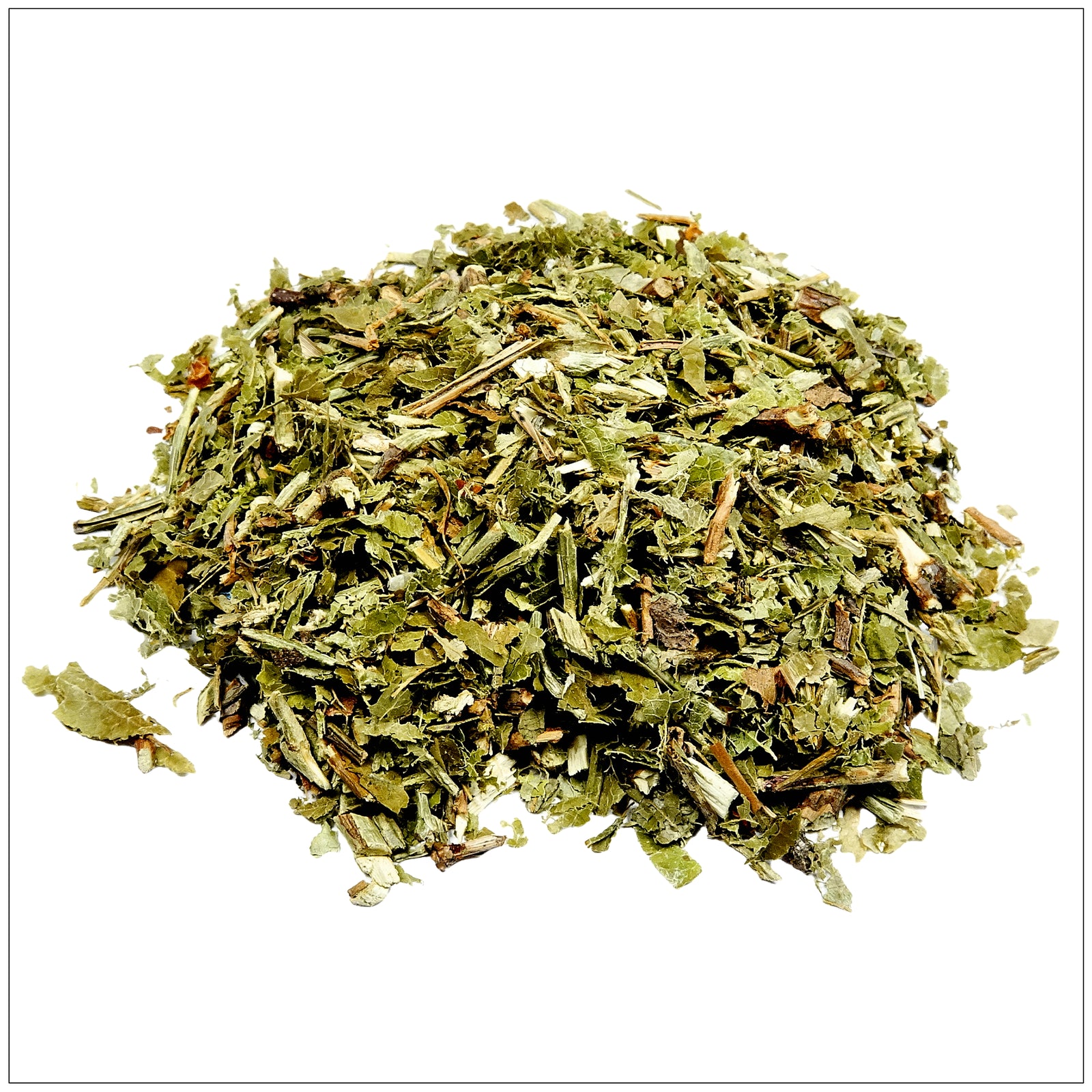 Fresh green bilberry leaves on a branch, rich in antioxidants and used in herbal wellness remedies.