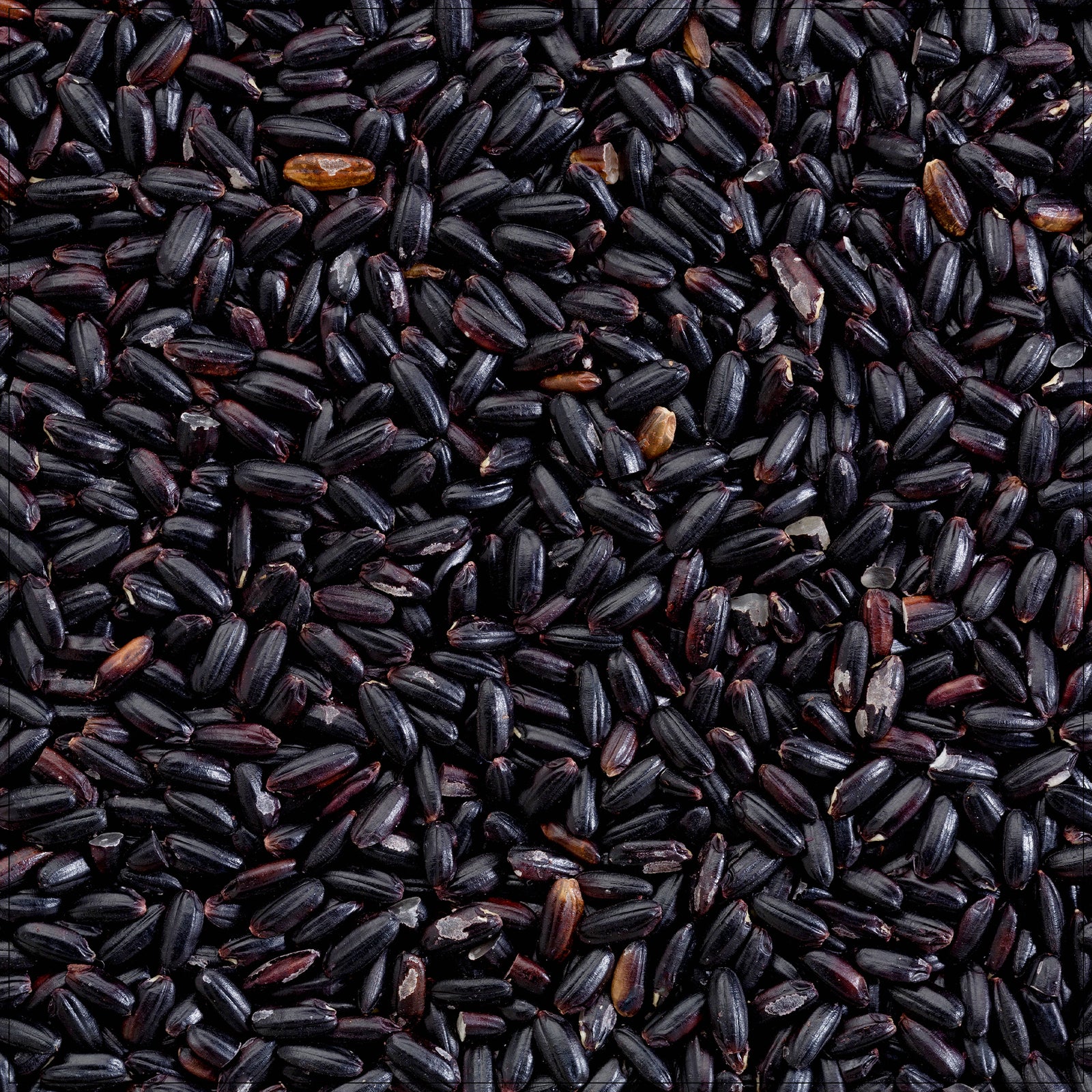 Cooked Black Forbidden Rice in a bowl, showcasing its deep purple color and rich, nutty texture.