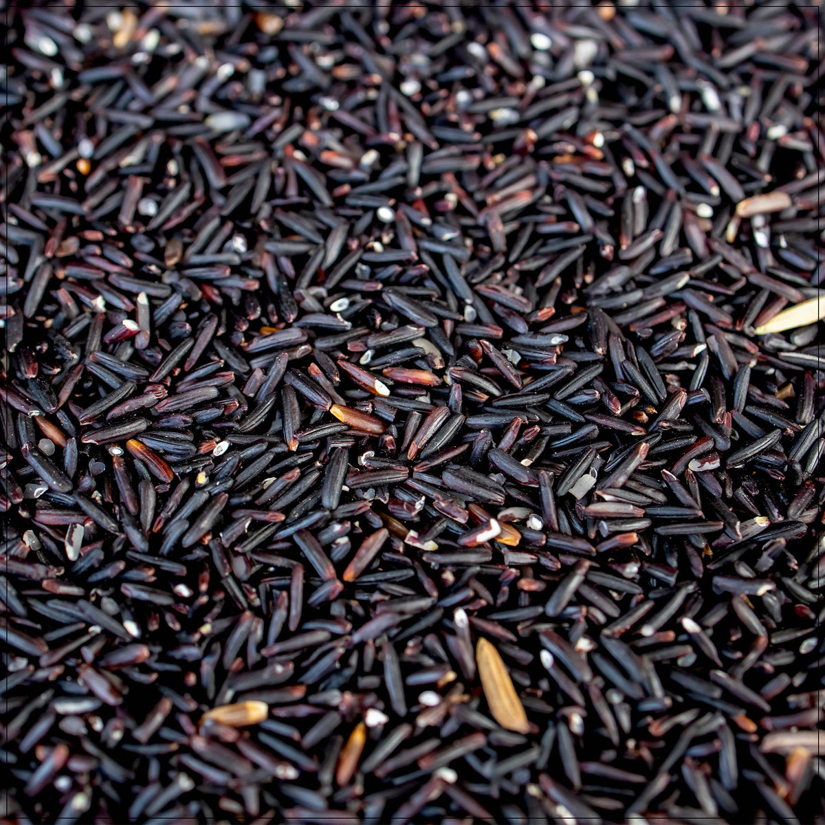 Bowl of cooked black sweet rice with coconut milk, served as a traditional Asian dessert