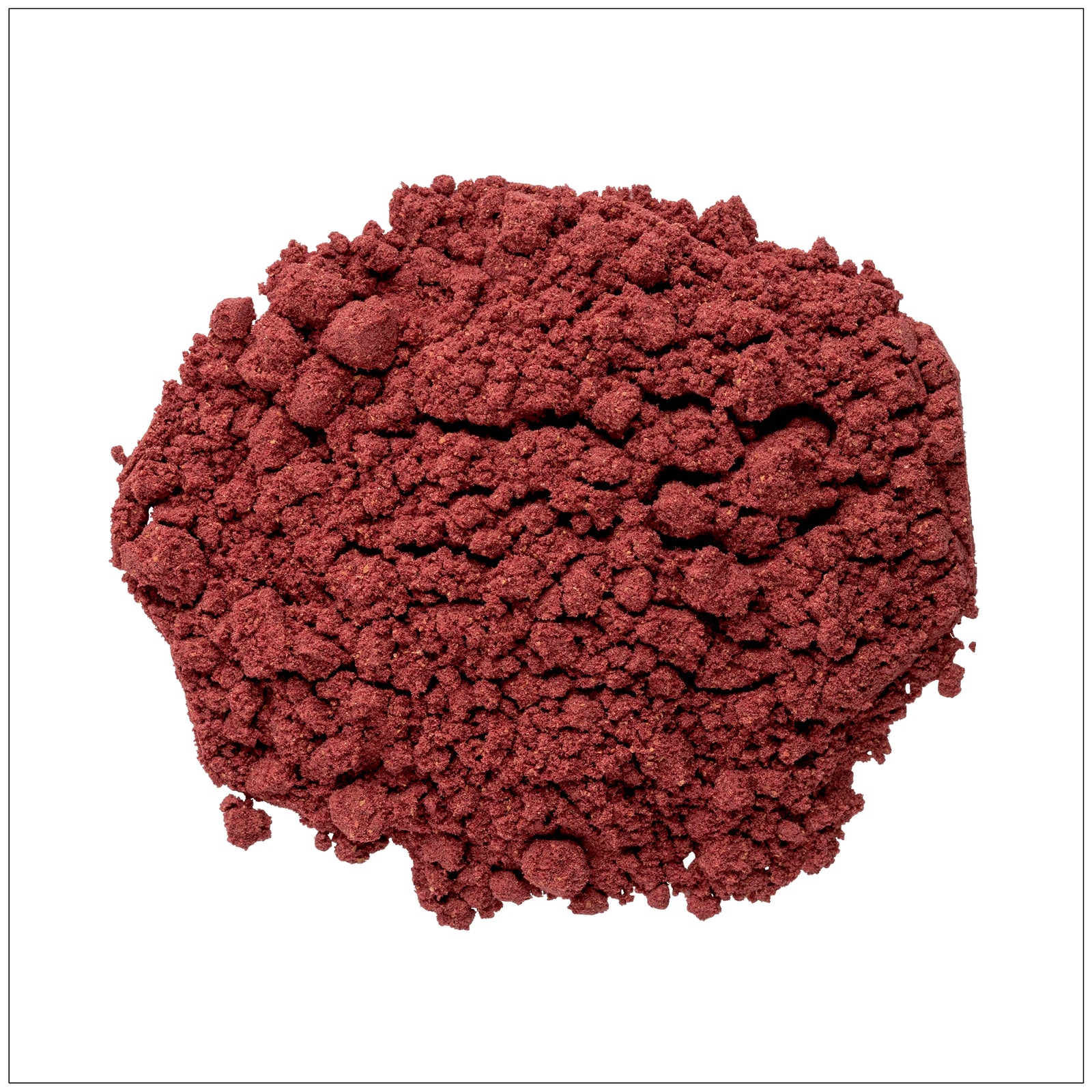 Blackberry powder in a bowl with fresh blackberries, rich in antioxidants and nutrients.