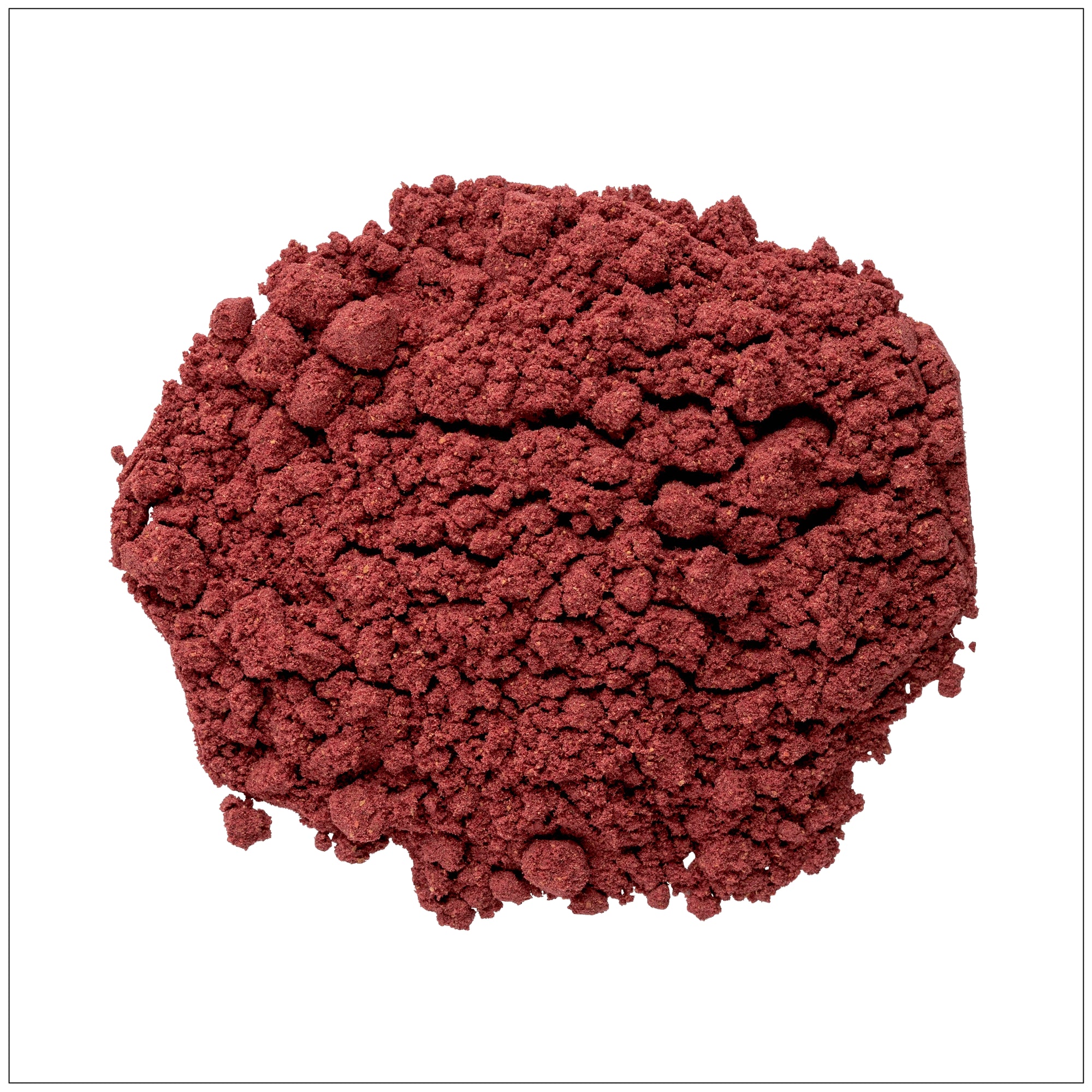 Blackberry powder in a bowl with fresh blackberries, rich in antioxidants and nutrients.