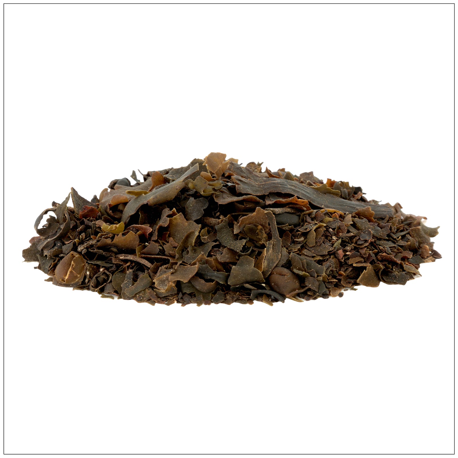 Dried bladderwrack seaweed with air bladders on a sandy beach, used in natural supplements.