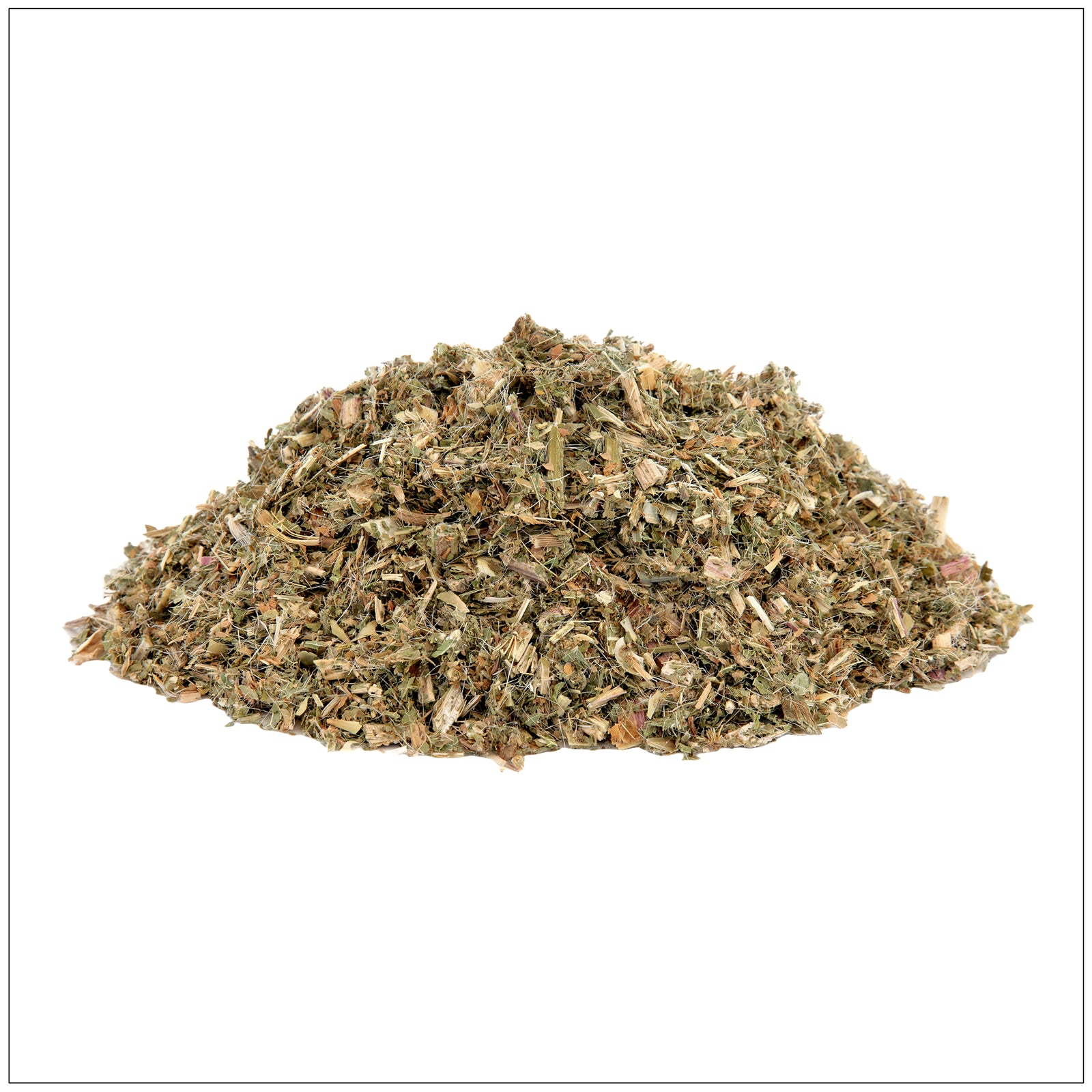 Close-up of blessed thistle plant with spiky green leaves and yellow blooms in natural sunlight.