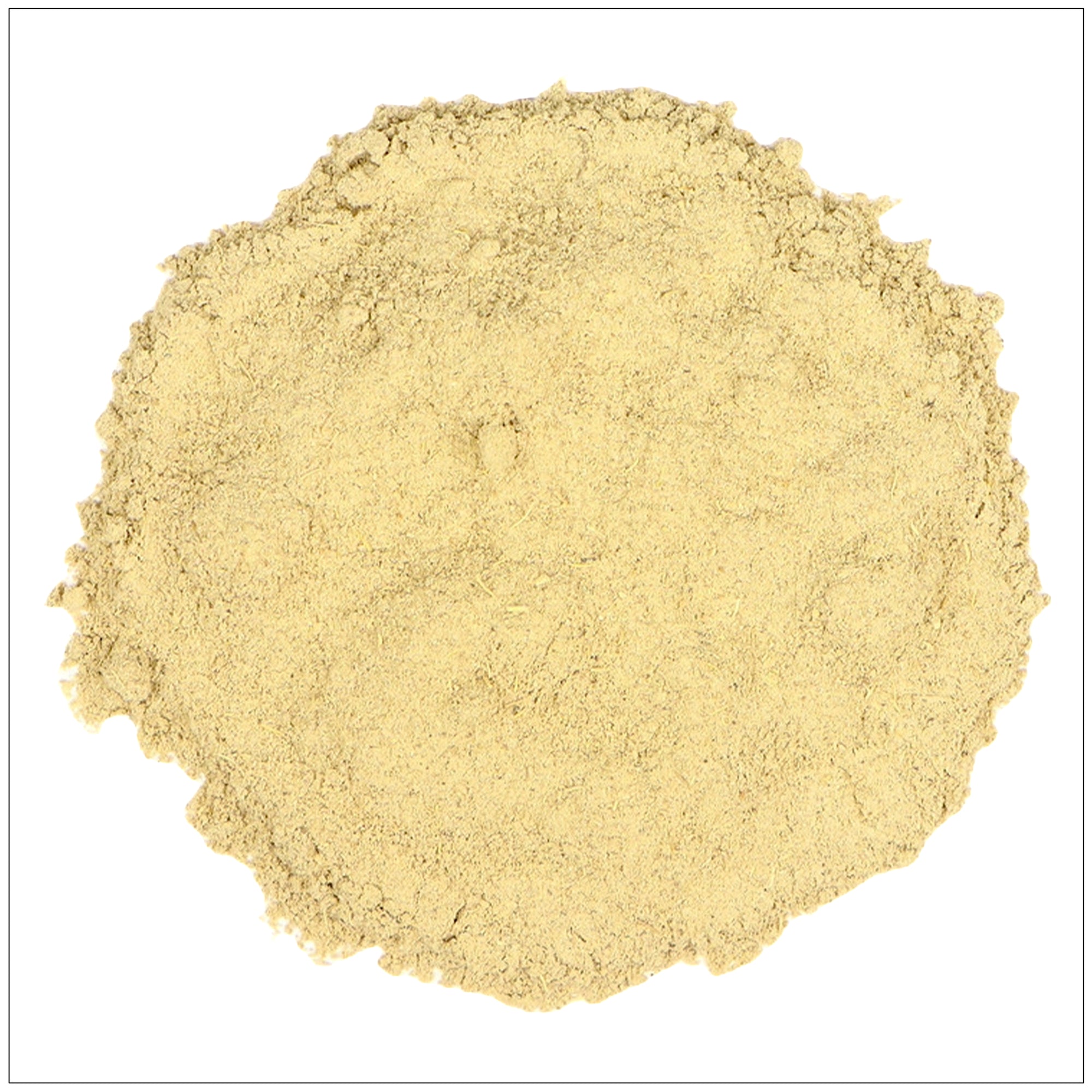 Blue Cohosh Root Powder in wooden bowl – natural herbal supplement for wellness and women’s health