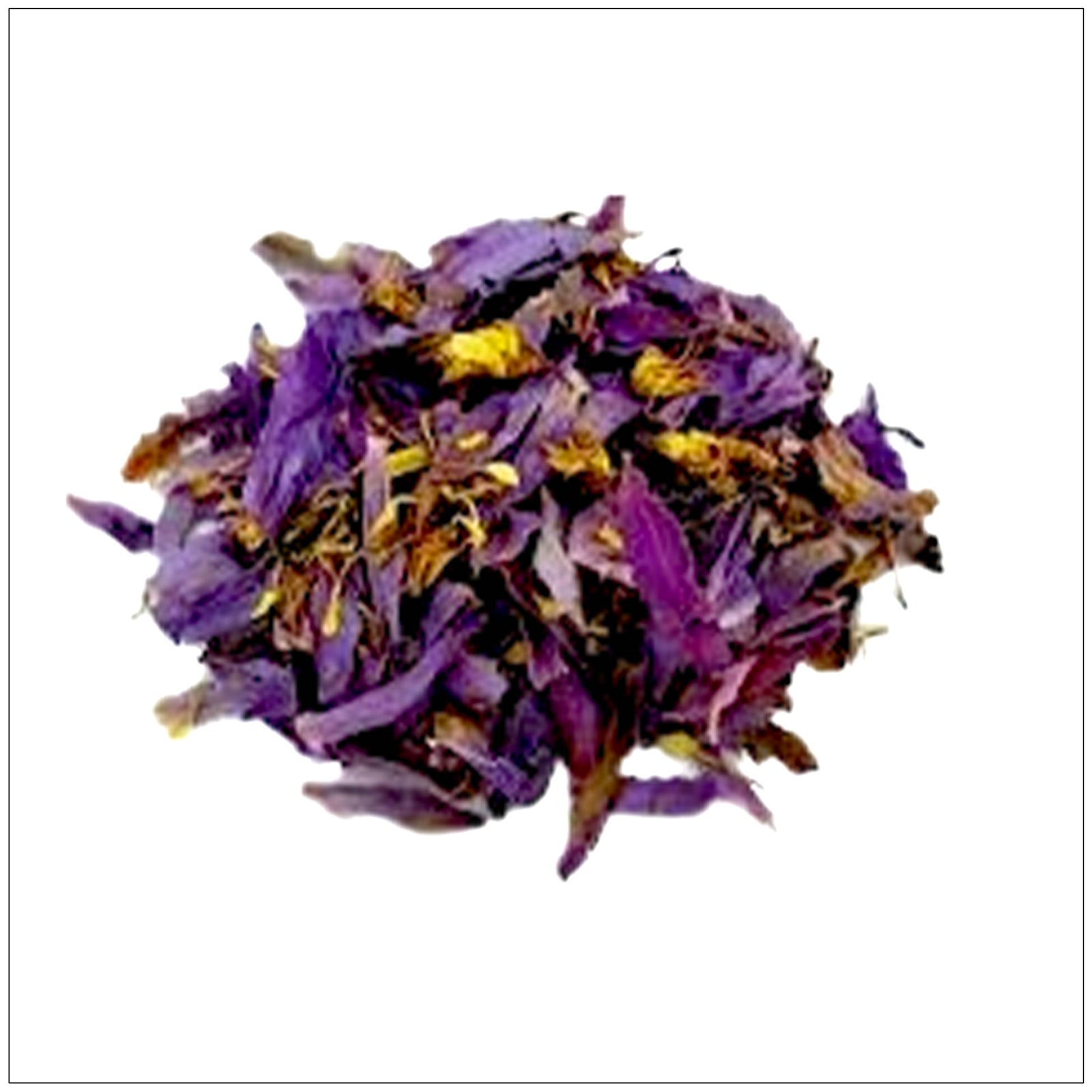 Blue Lotus Flower in full bloom, symbolizing serenity and spiritual awakening in a natural setting.