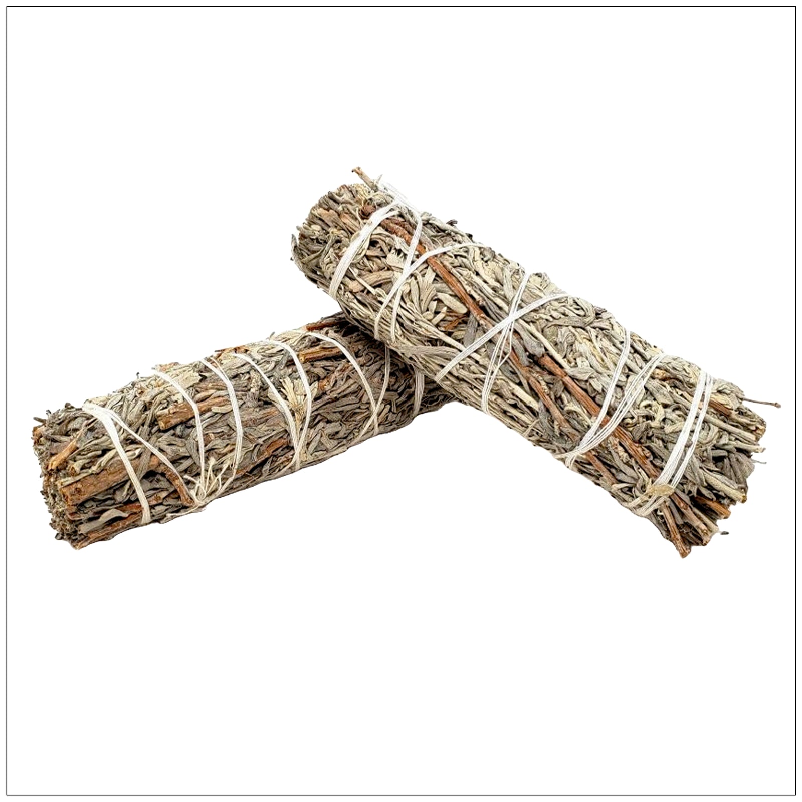 Blue Sage plant with silvery-green leaves and delicate purple flowers in natural sunlight