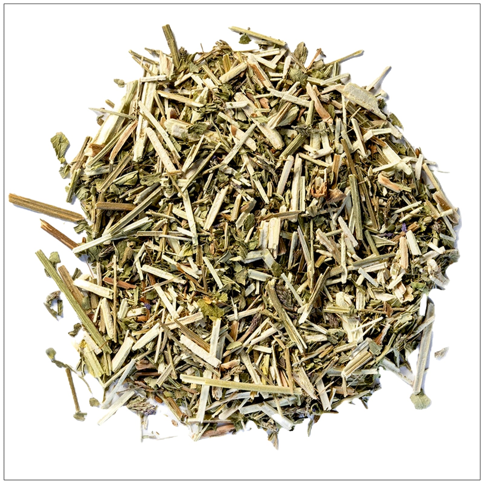 Fresh Blue Vervain herb with purple blooms used in traditional herbal remedies and natural wellness practices.