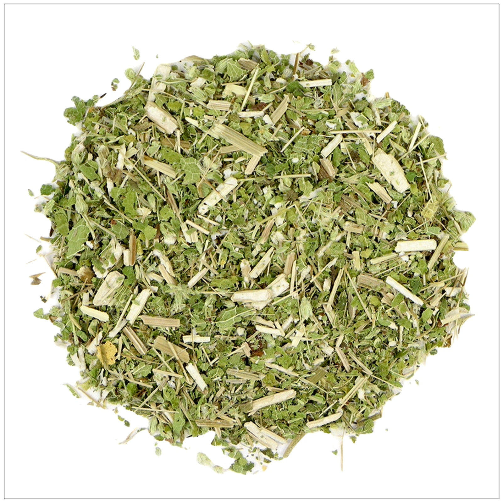 Fresh Boneset herb with green leaves and small white flowers used in traditional herbal remedies.