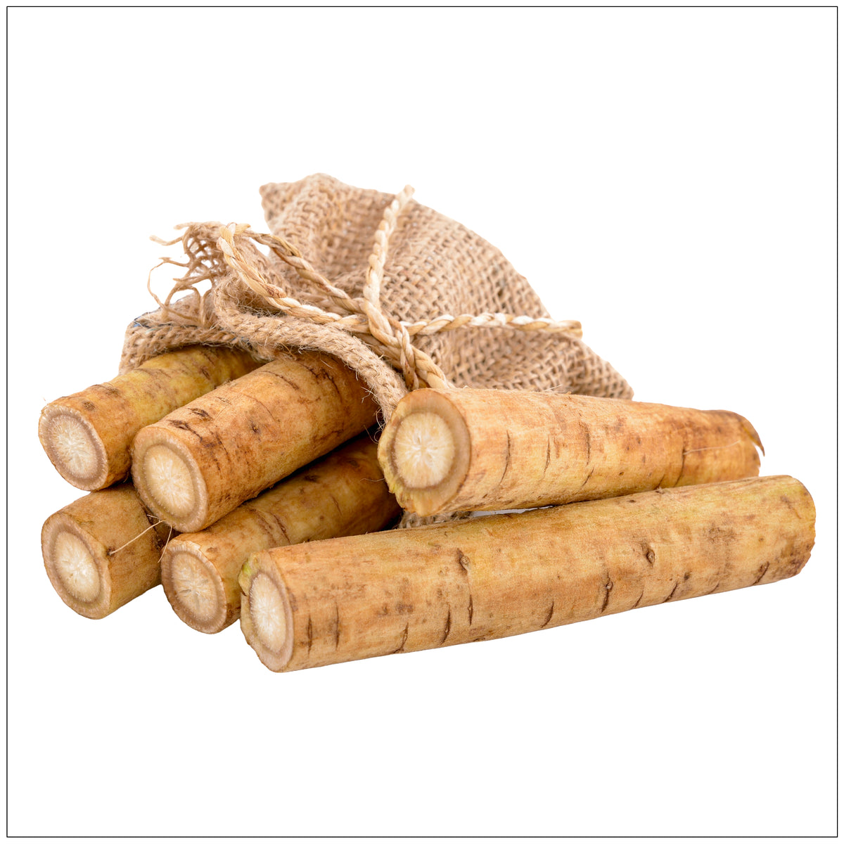 Fresh burdock root with earthy brown skin and white flesh, used in herbal medicine and healthy cooking.