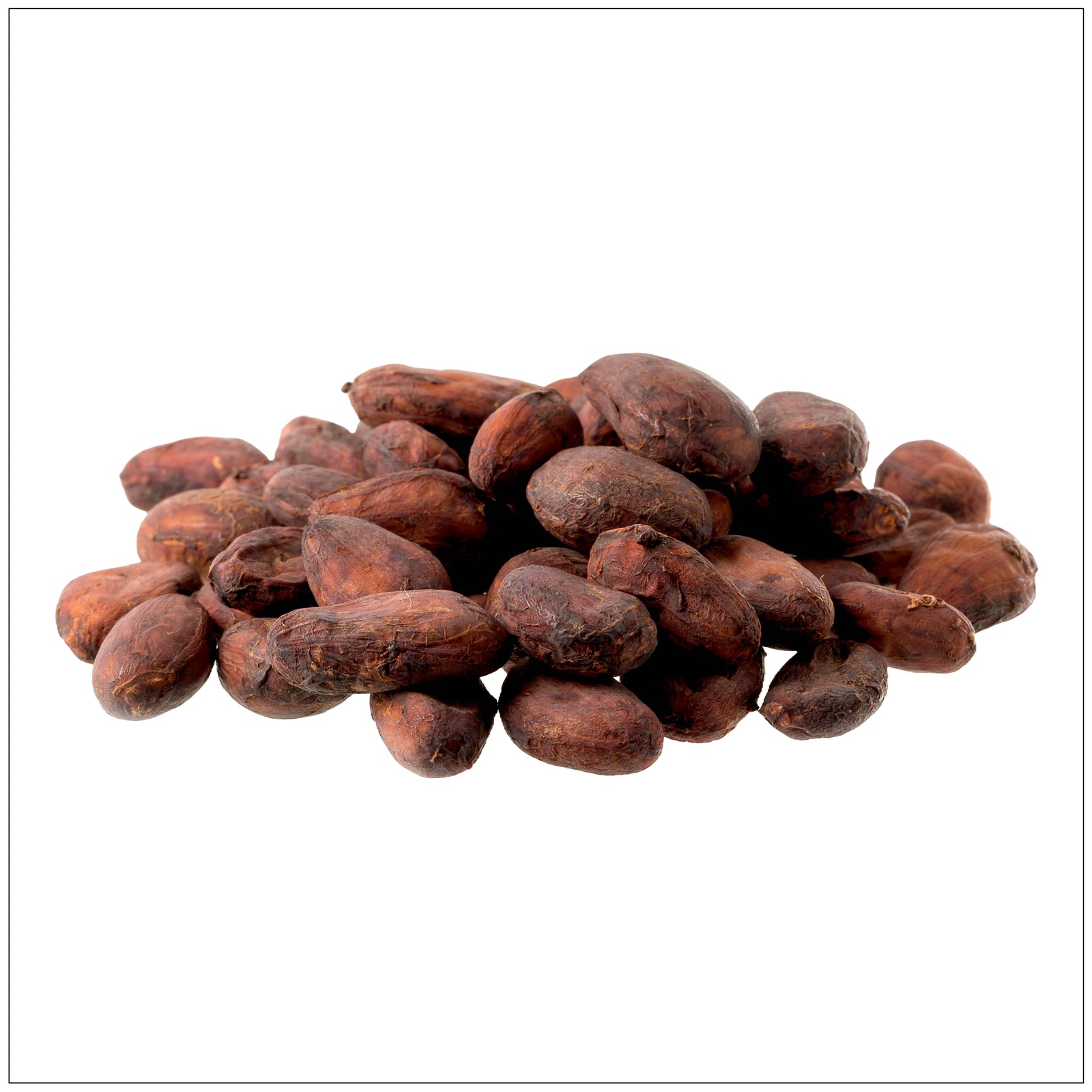 Raw natural cacao beans are rich in antioxidants and ideal for healthy snacking or chocolate making.