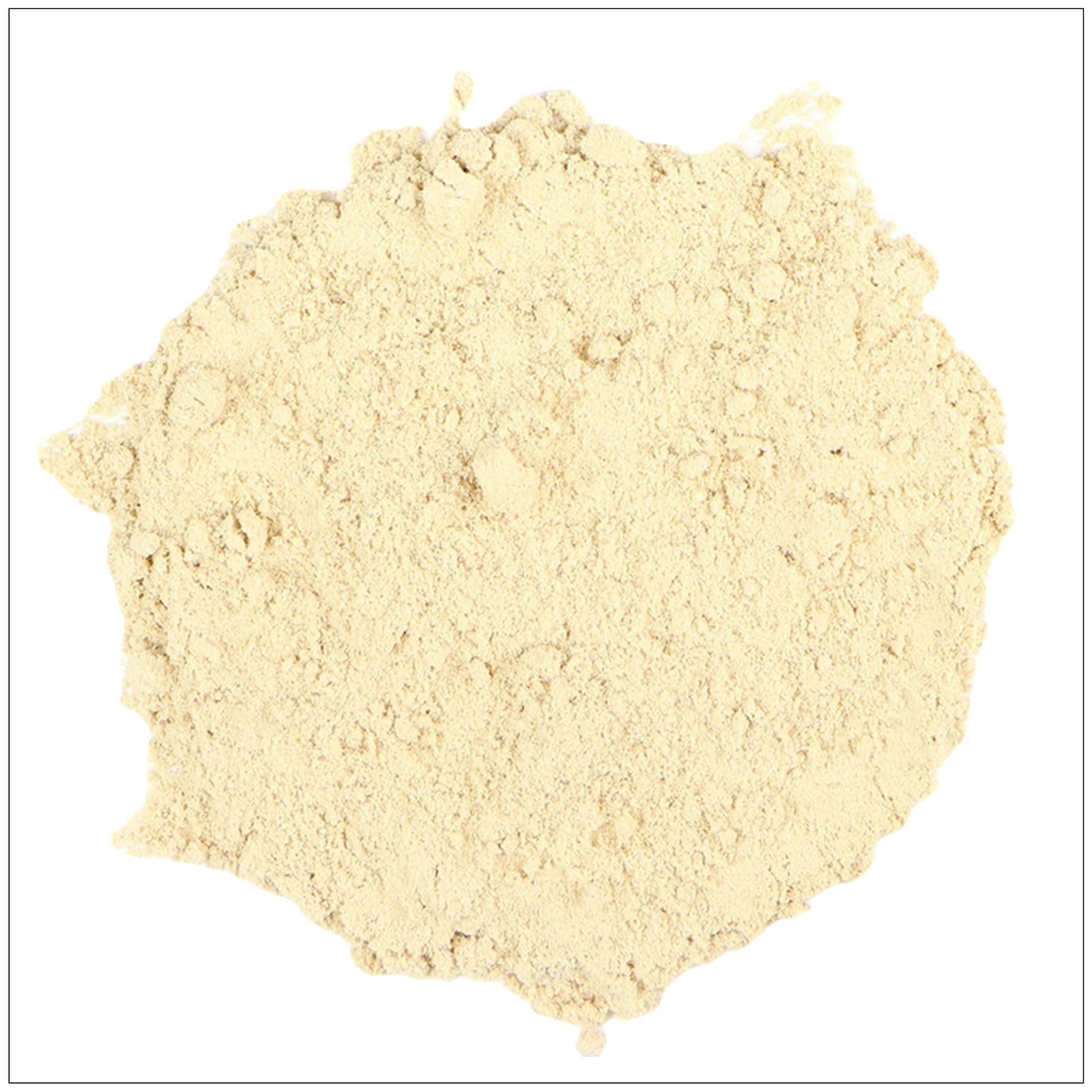 Finely ground Calamus Root Powder in a wooden bowl, used in herbal remedies and natural wellness practices.