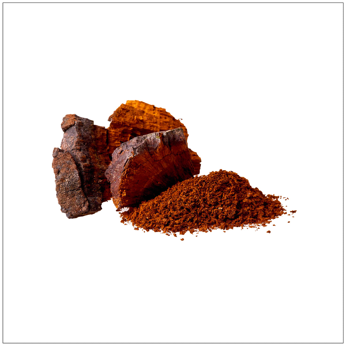 Chaga mushroom tea in a glass cup on a rustic wooden table, surrounded by dried Chaga chunks.