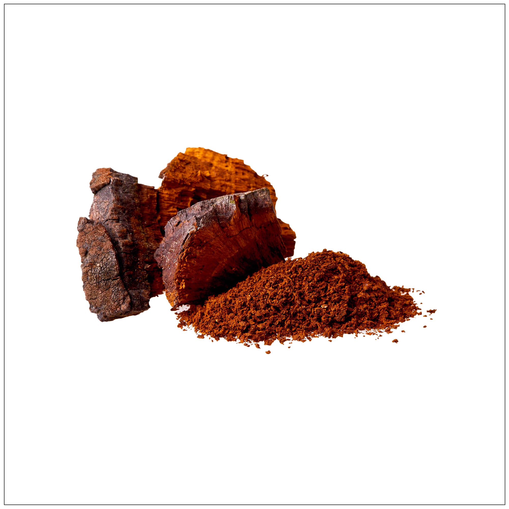 Chaga mushroom tea in a glass cup on a rustic wooden table, surrounded by dried Chaga chunks.