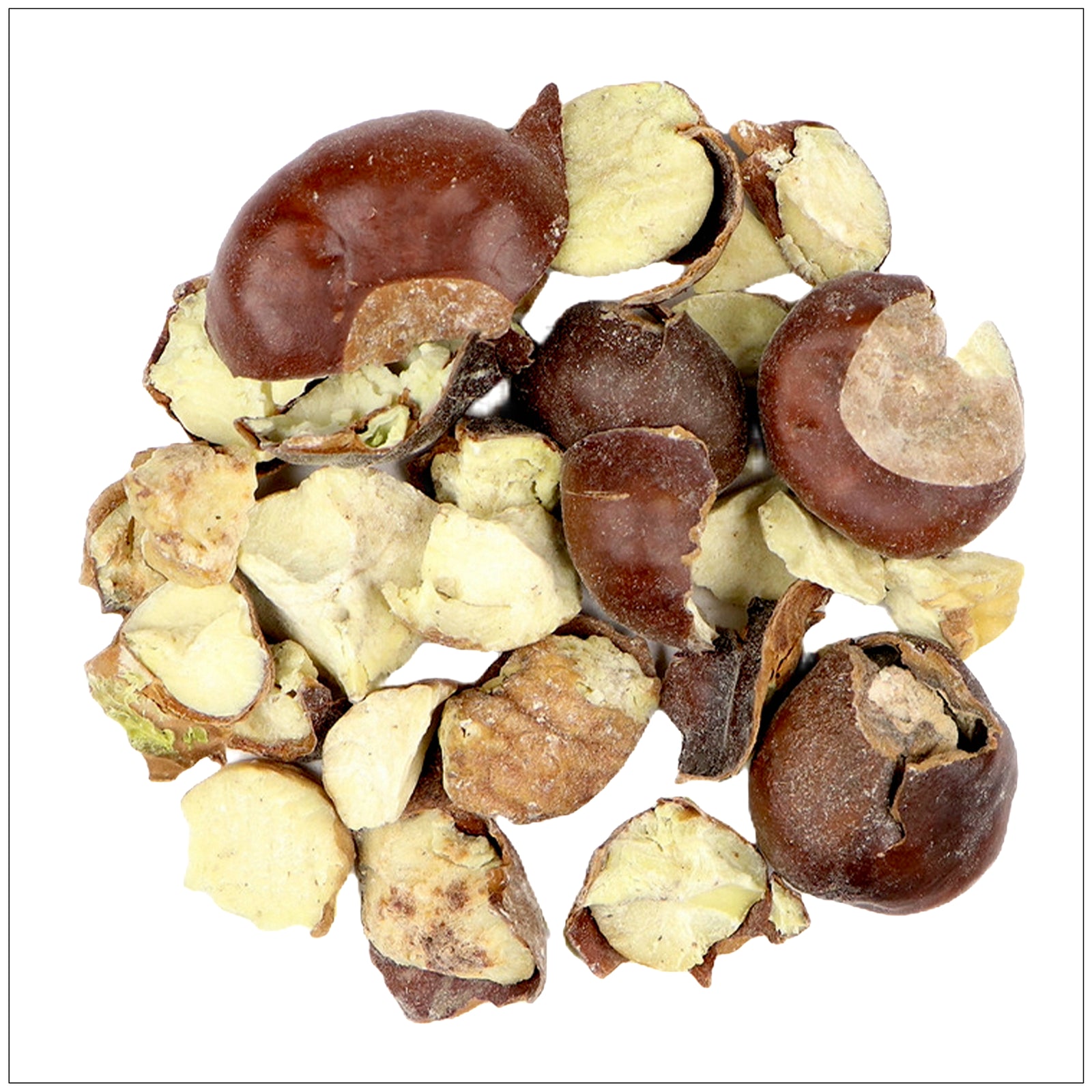 Beautiful chestnut horse standing in a green pasture under clear blue skies, showing its glossy reddish-brown coat.