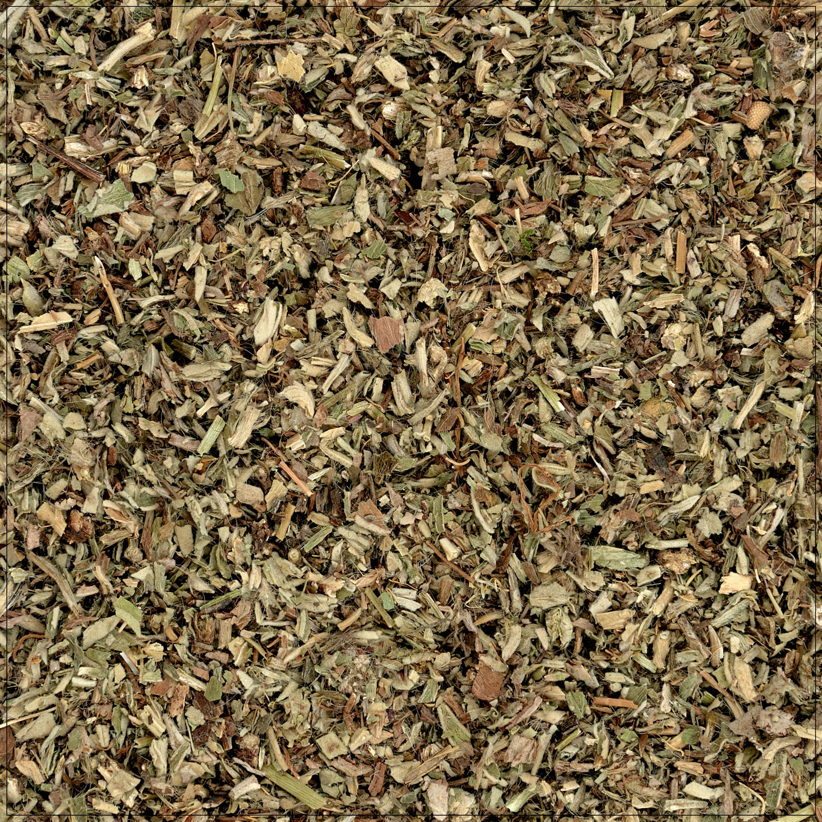 Fresh chickweed herb with green leaves, known for its soothing properties and traditional medicinal uses.