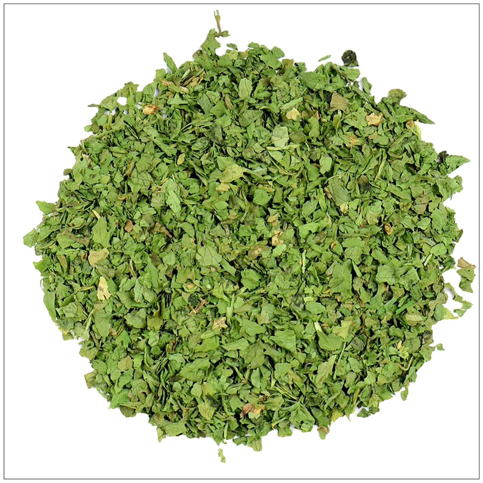 Fresh green cilantro leaves—buy from the health food store in the USA - Alive Herbals