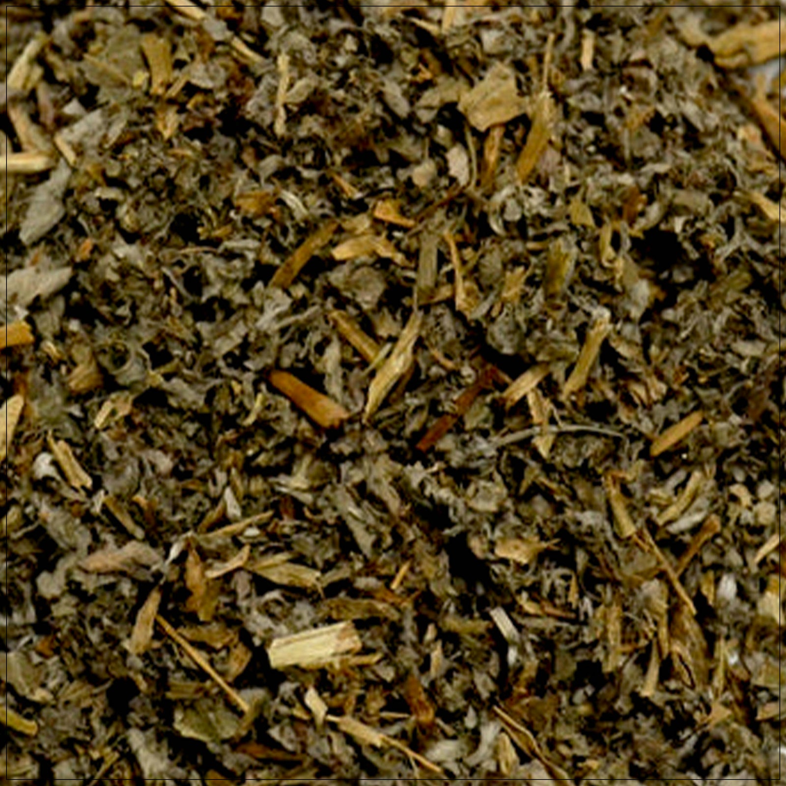 Fresh cinquefoil herb with green leaves and yellow flowers used in natural herbal remedies.