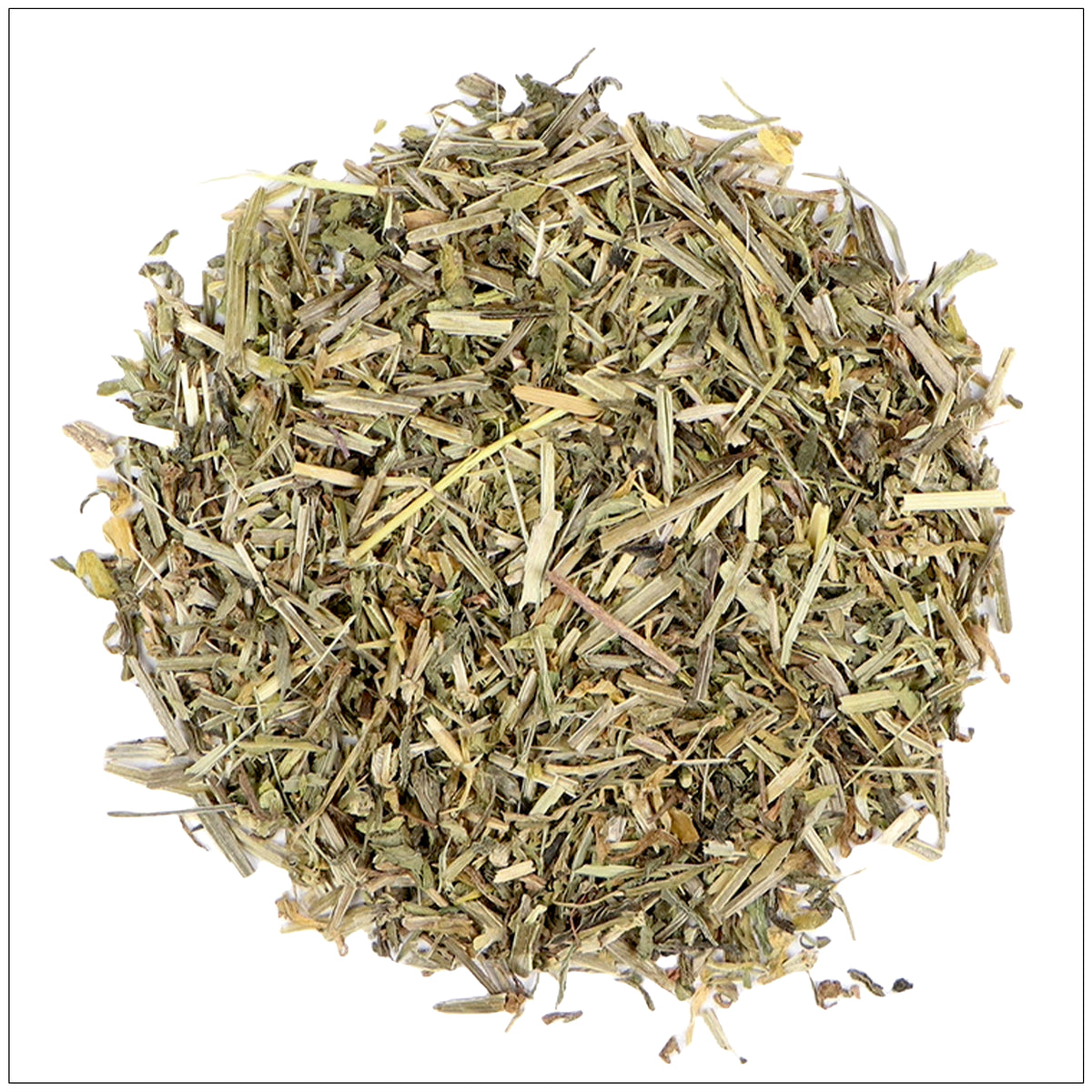 Fresh cleavers herb with green stems and leaves, known for lymphatic support and natural detox benefits.