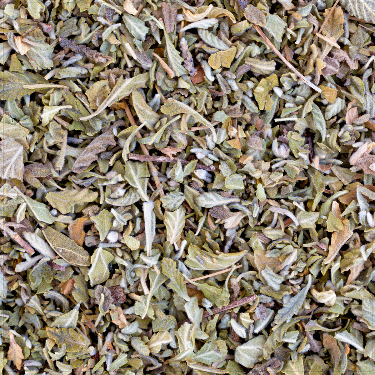 Dried damiana leaf is used for herbal tea, natural mood support, and traditional wellness remedies.