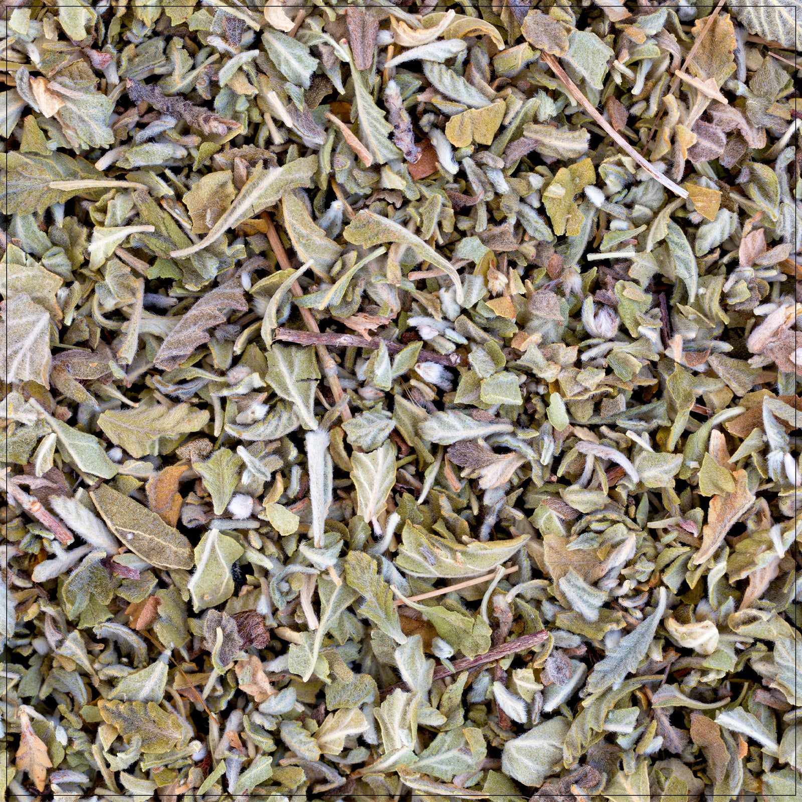 Dried damiana leaf is used for herbal tea, natural mood support, and traditional wellness remedies.