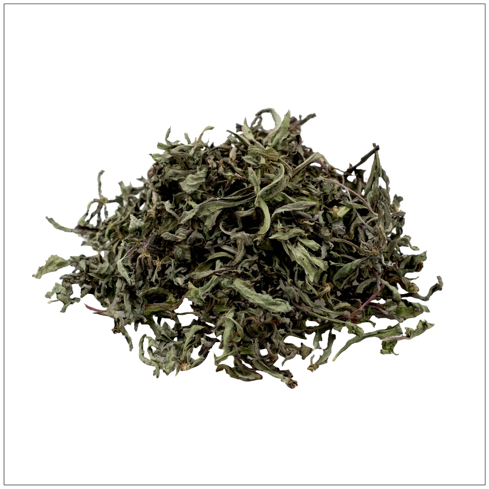 Fresh green dandelion leaves rich in nutrients, ideal for detox, digestion, and natural wellness support.