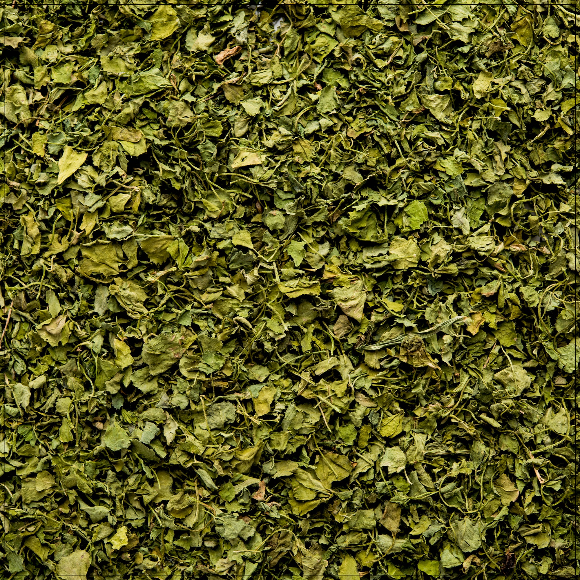 Organic dried fenugreek leaves for cooking and seasoning - perfect for curries, soups, and traditional recipes in the USA.