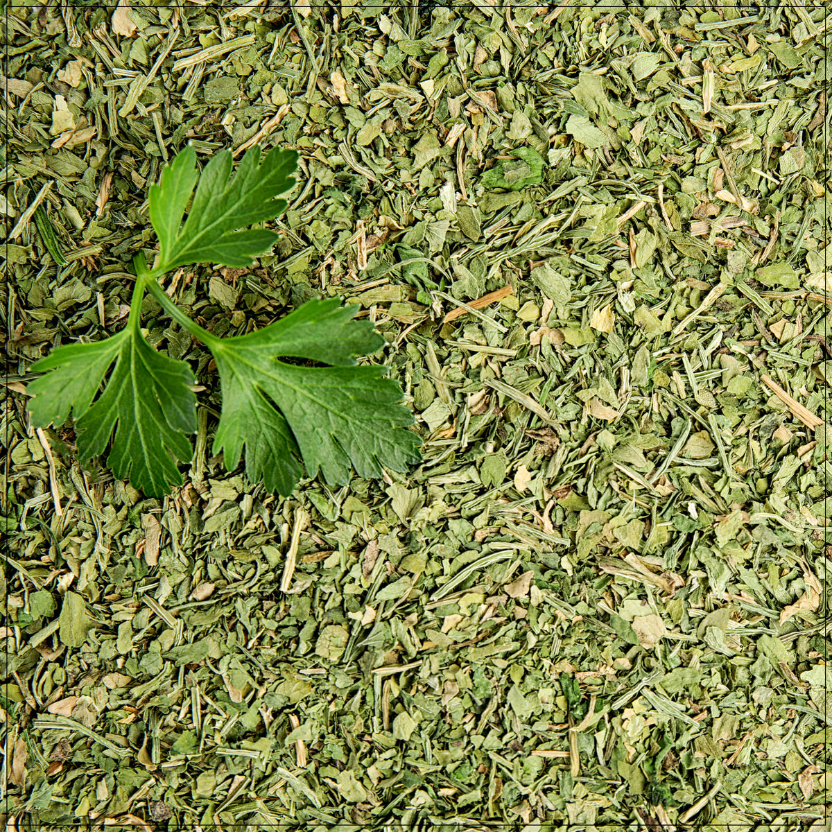 A pile of vibrant green dried parsley flakes used as a flavorful herb in cooking and seasoning.