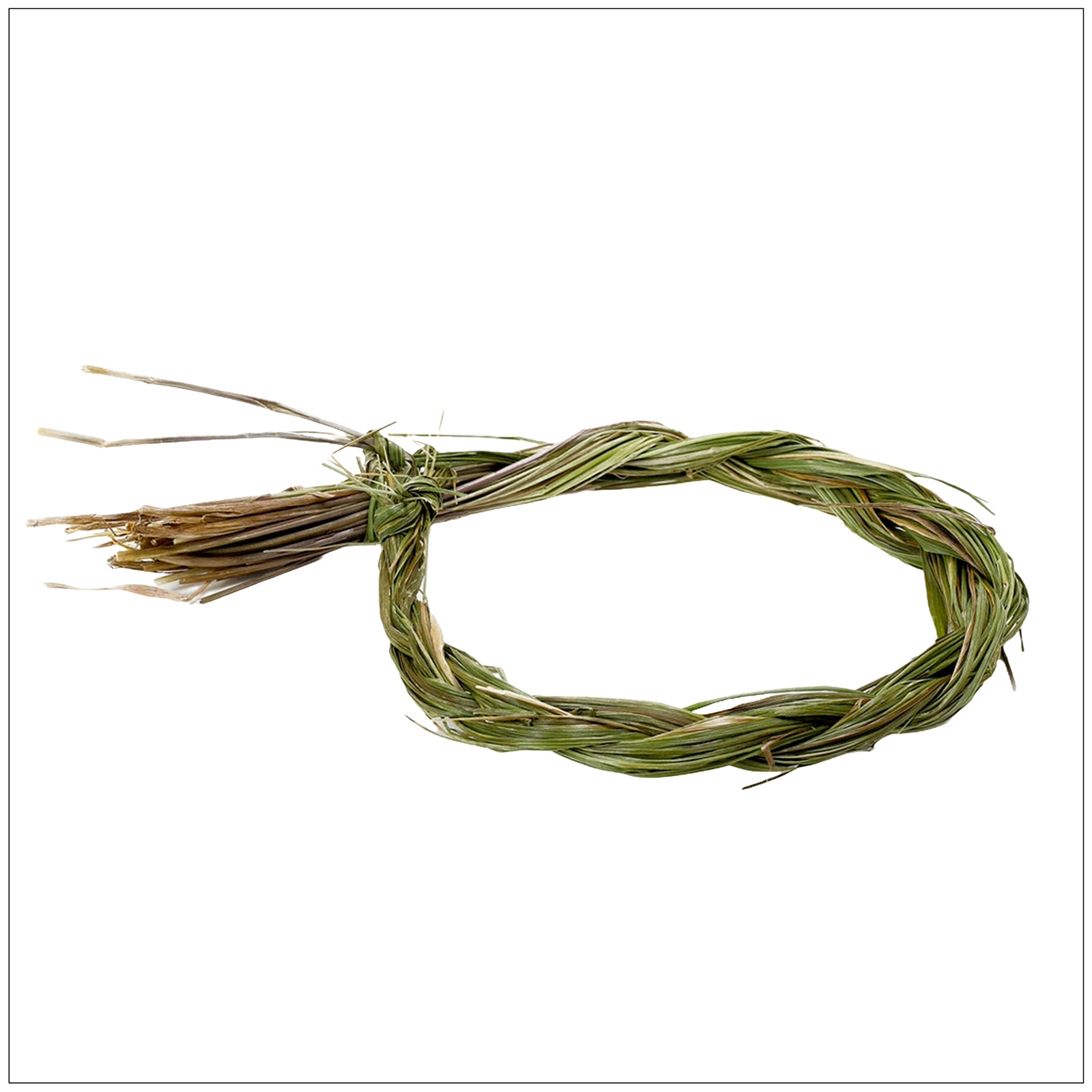 Bundle of hand-harvested dried sweet grass, ideal for smudging, rituals, or home fragrance.