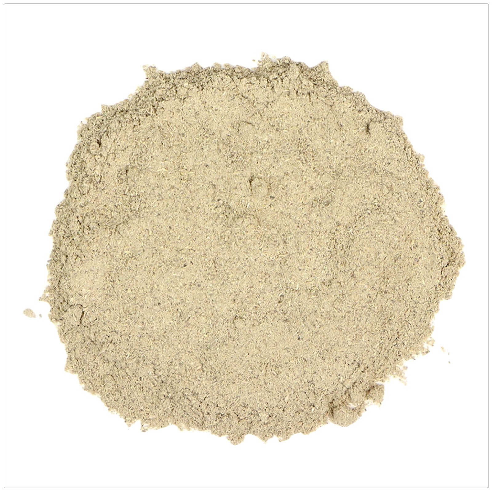 Premium Echinacea Extract Powder – Immune Support Supplement from Natural Herbal Source