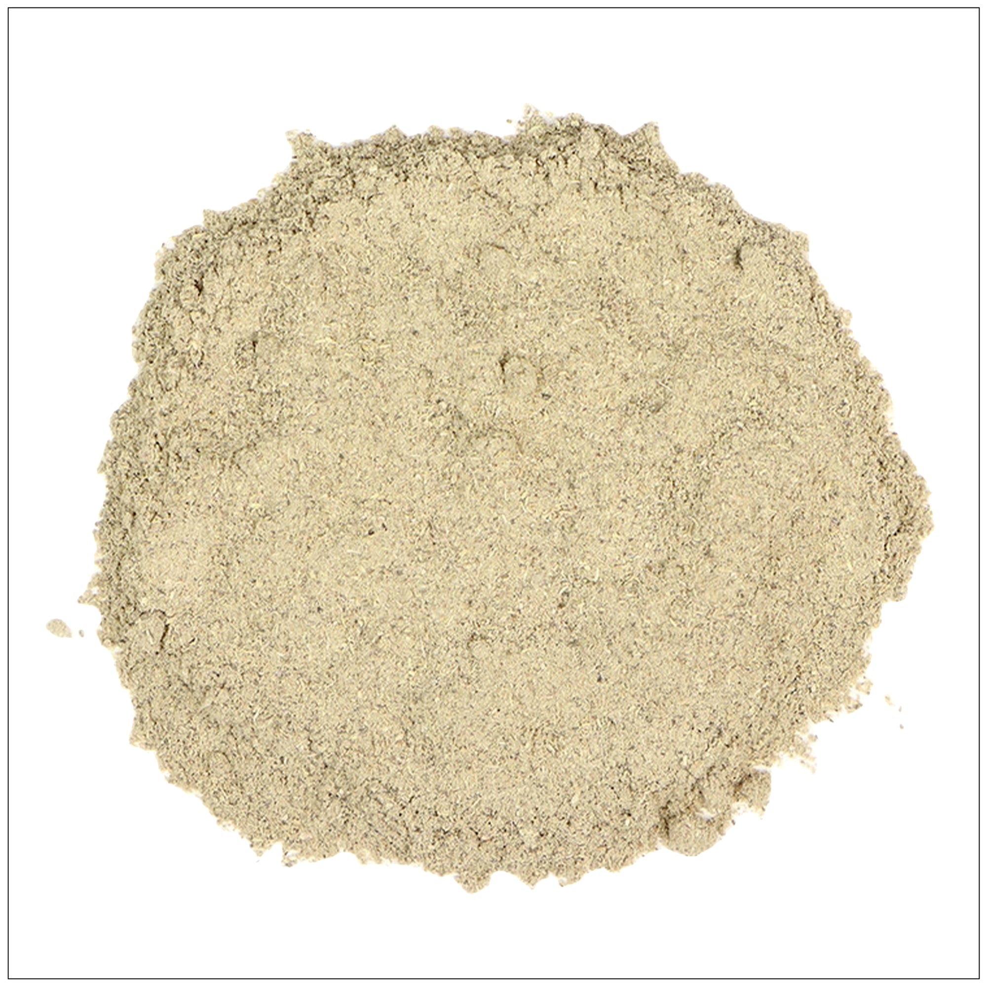 Premium Echinacea Extract Powder – Immune Support Supplement from Natural Herbal Source