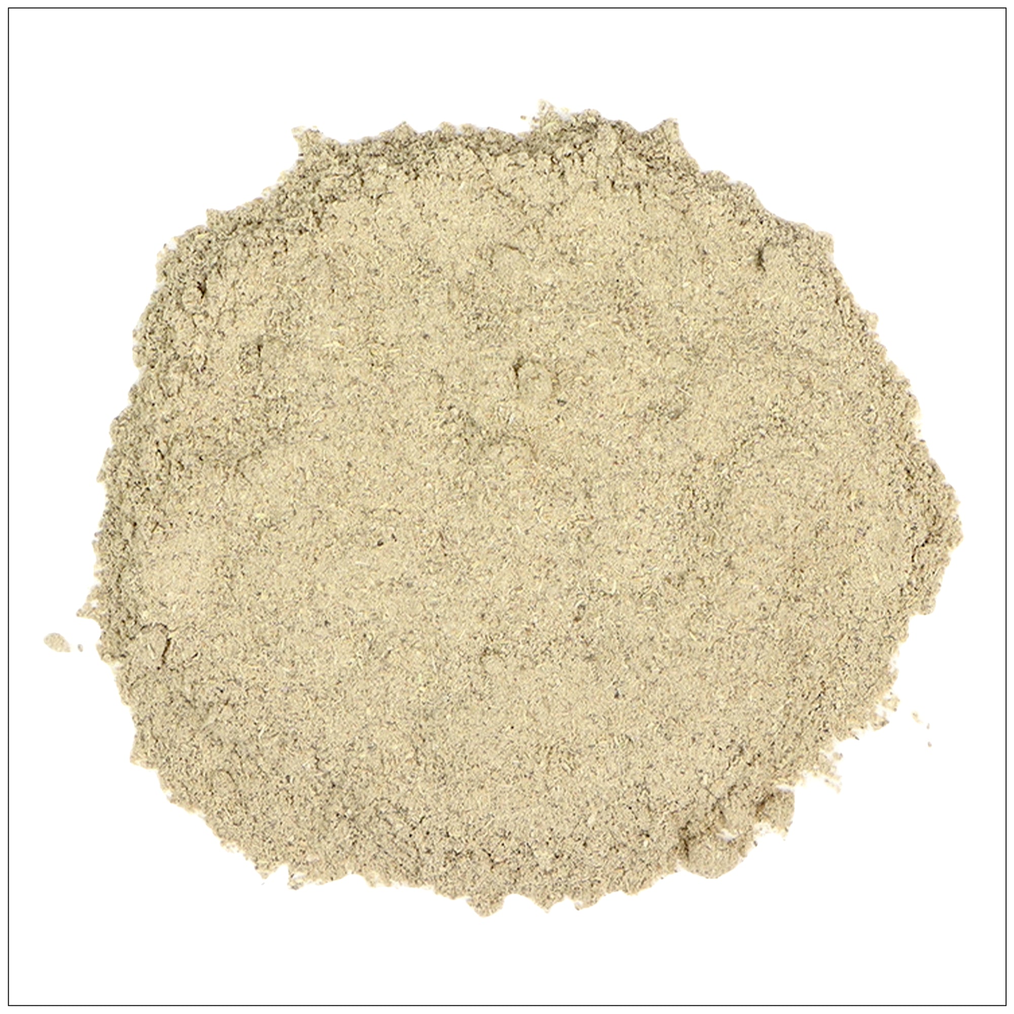 Echinacea powder in a wooden spoon, ideal for immune support and natural wellness routines.