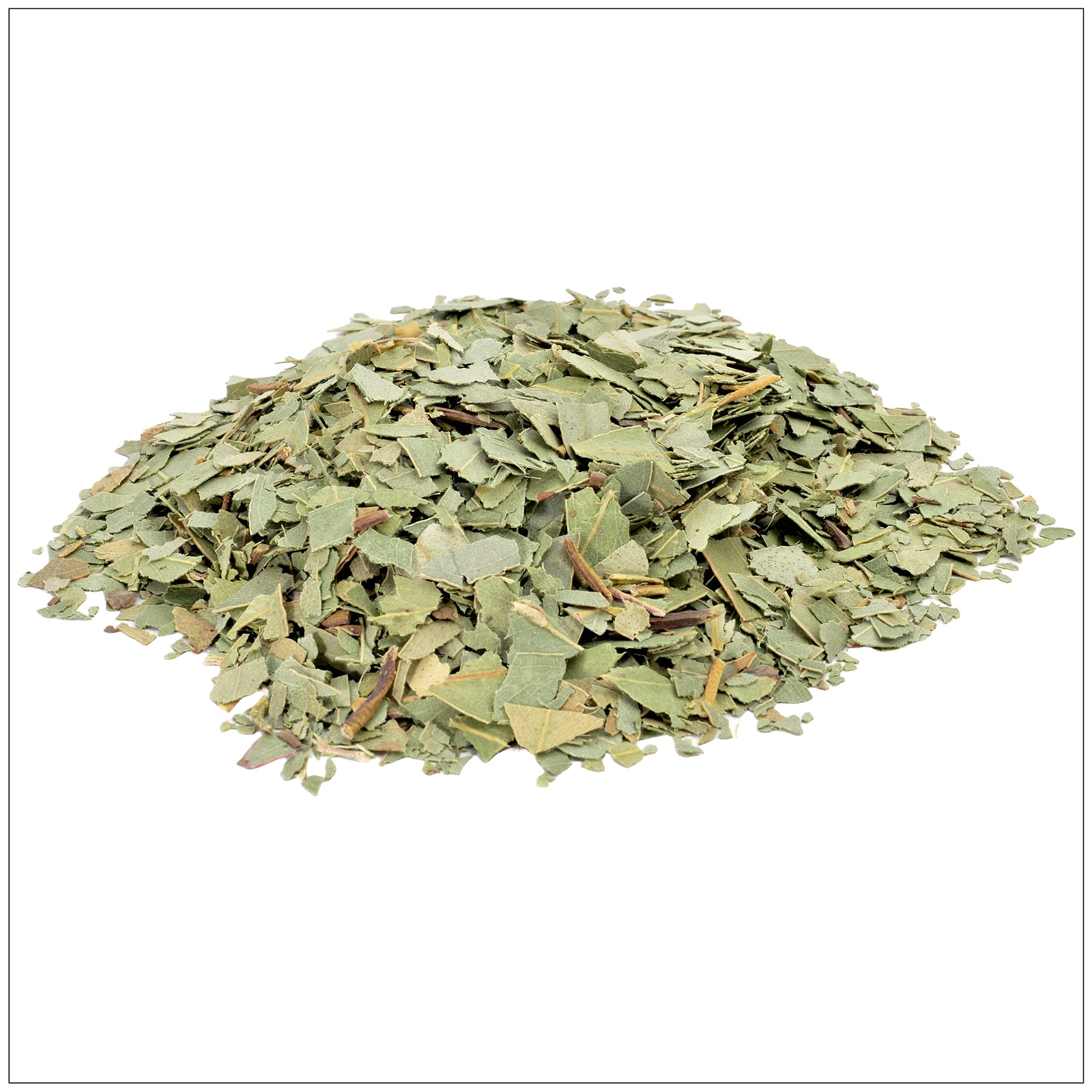 Eucalyptus leaves close-up showcasing vibrant green foliage for a natural, fresh look.