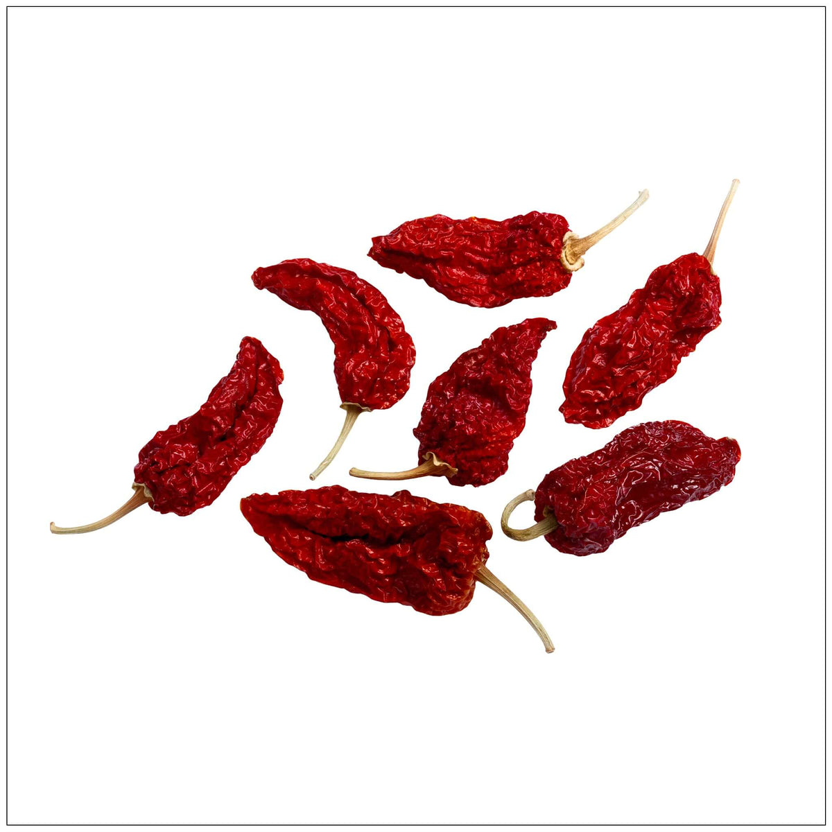 Whole natural ghost pepper, dried chili with intense heat, perfect for spicy recipes, sourced in the USA