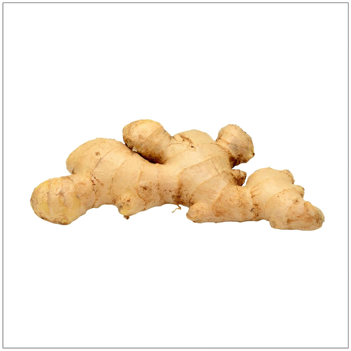 Premium quality fresh ginger root available in the USA market