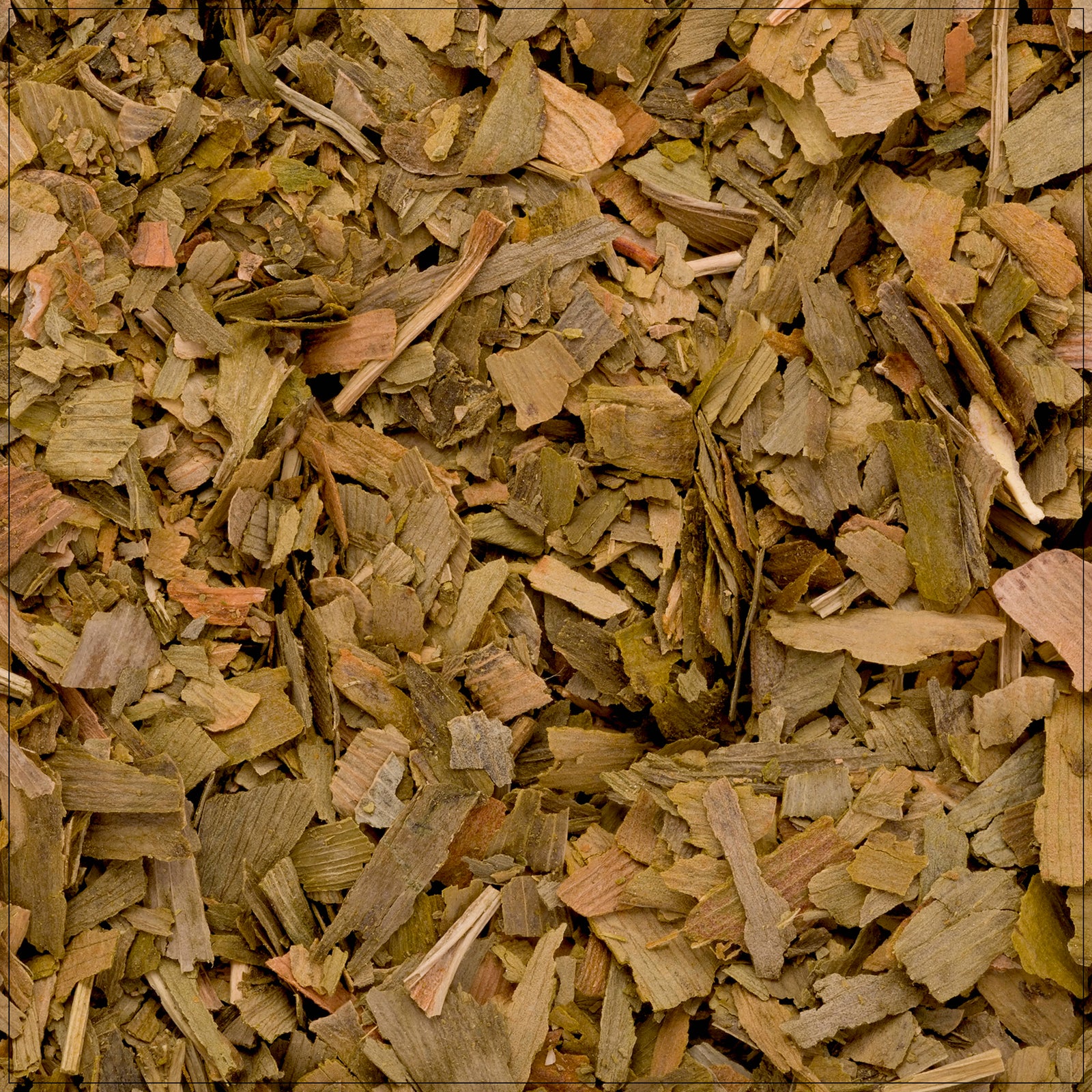 Golden Ginkgo leaf with fan shape and distinct veins, symbolizing longevity and natural wellness.