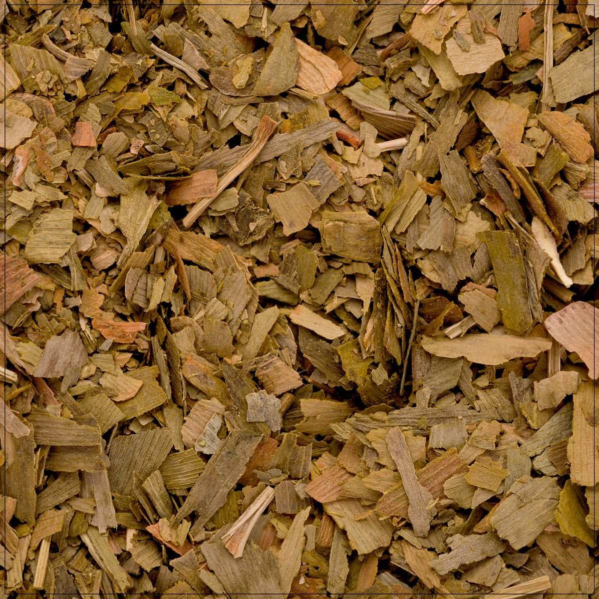 Golden Ginkgo leaf with fan shape and distinct veins, symbolizing longevity and natural wellness.