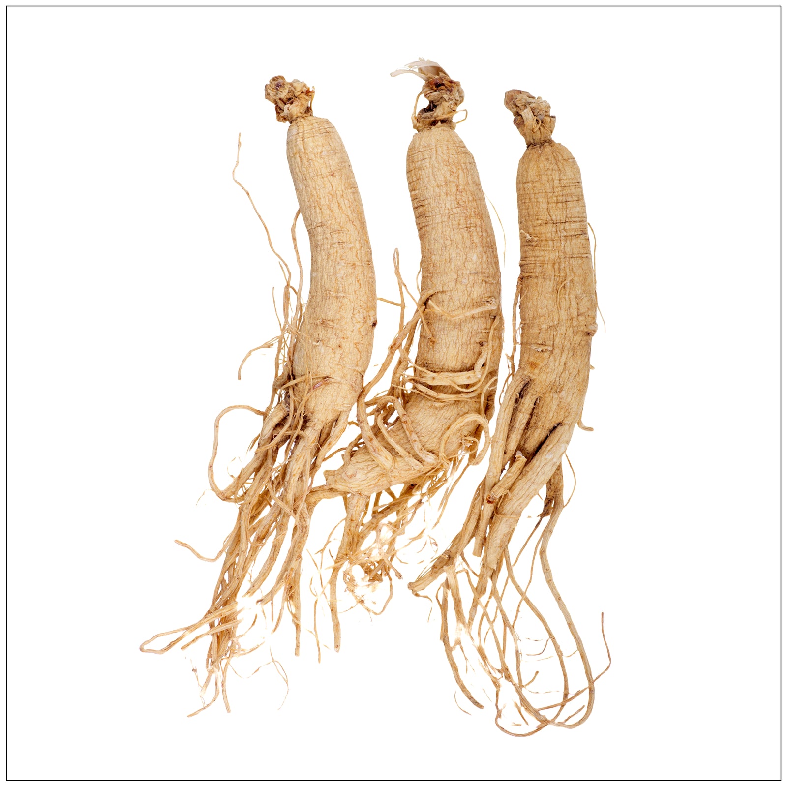 Dried ginseng root on a wooden surface, used in traditional herbal remedies for energy and wellness.