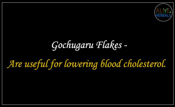 Gochugaru Flakes - Buy at the Spice Store Brooklyn - Alive Herbals.