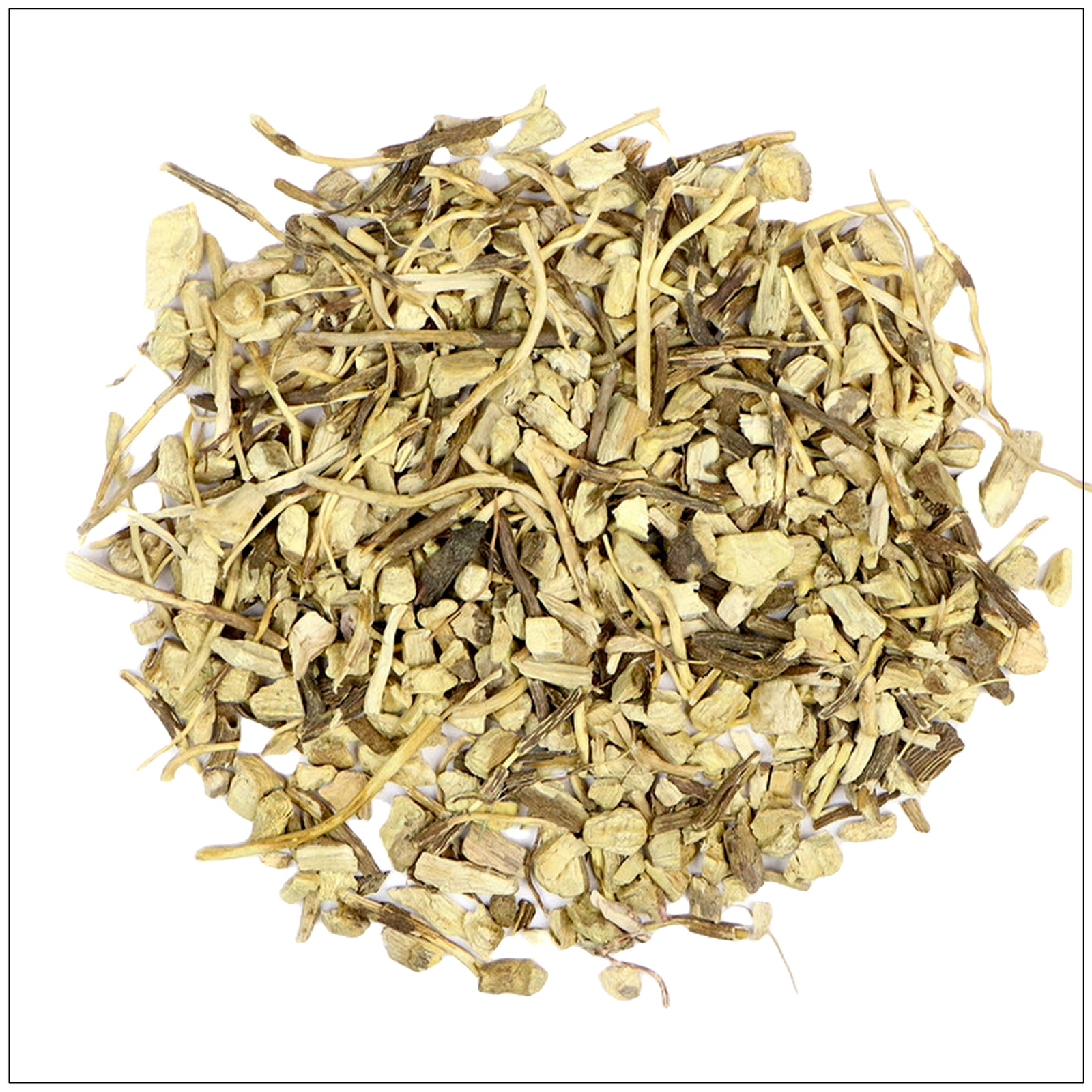 Dried Gravel Root herb used in traditional herbal medicine for urinary and kidney health.