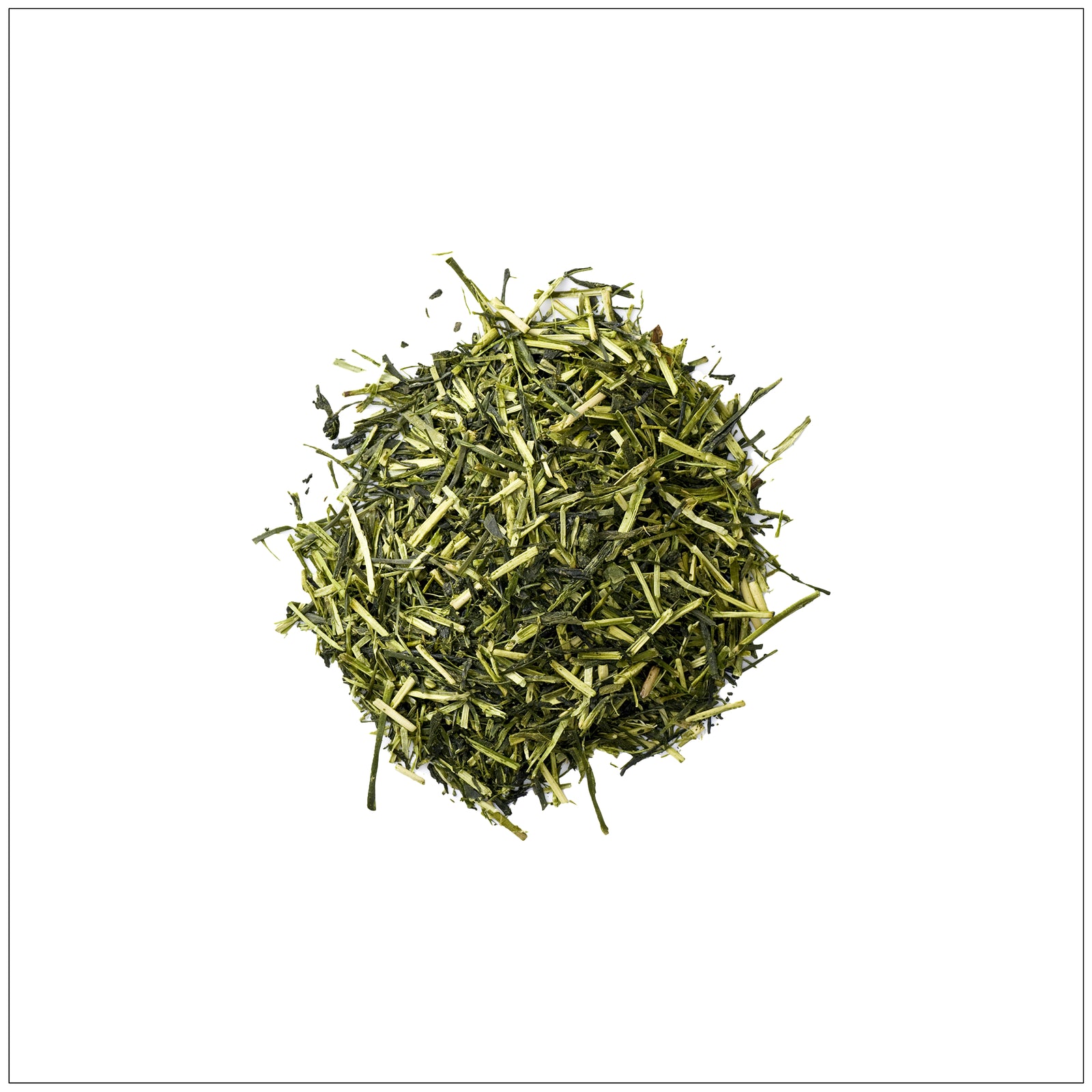 Fresh green tea leaves with vibrant color, ideal for brewing antioxidant-rich, healthy tea.